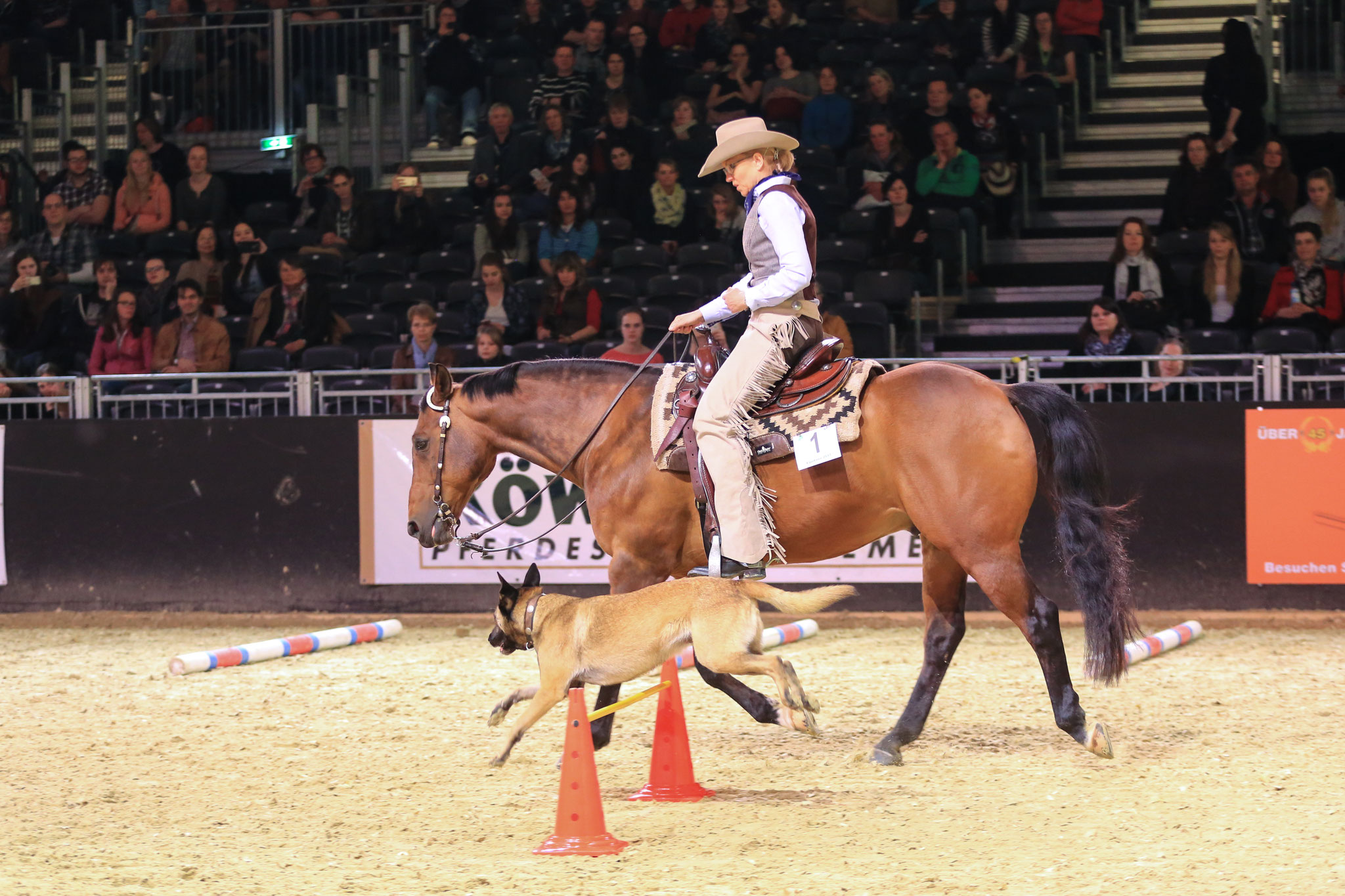 beim  EQUITANA-Deucavallo Cup, Foto: privat