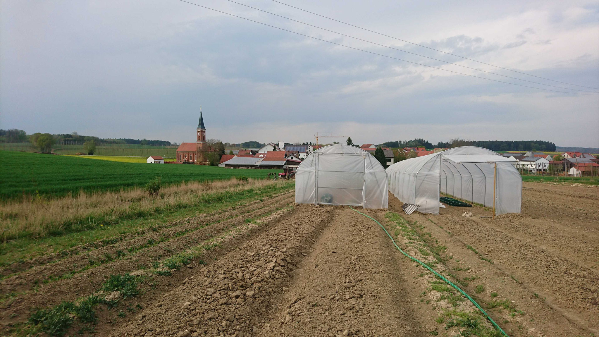 Die Folientunnel sind nun endlich umgezogen