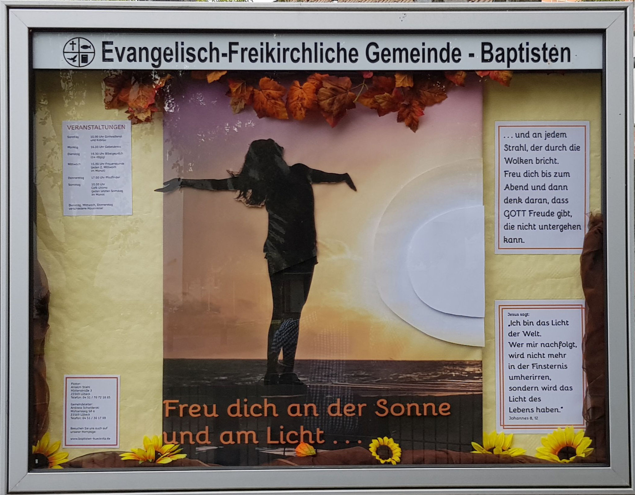 Sept. 2019  Freu dich an der Sonne