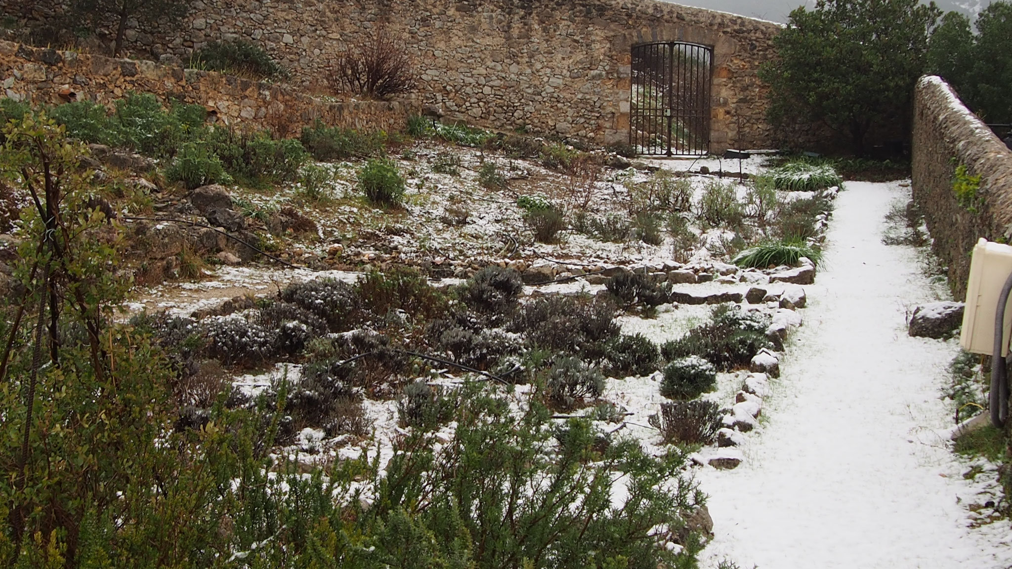 vue du jardin sous la neige depuis la tour Sud
