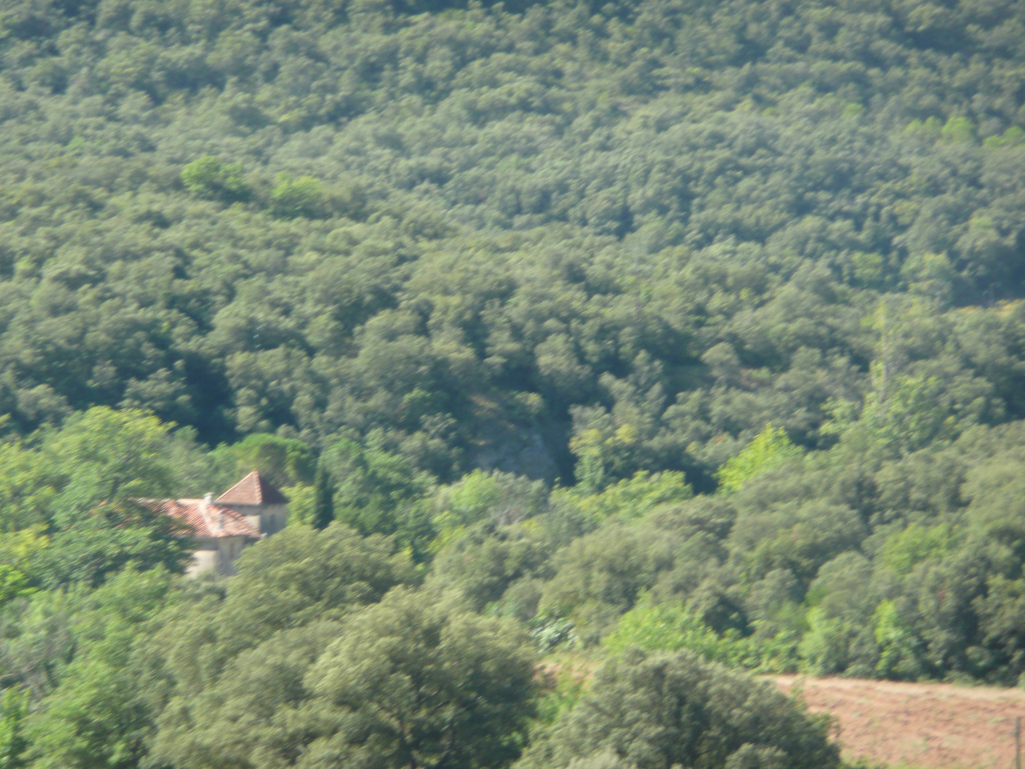 le fauconnier et ses oiseaux au château de Baulx