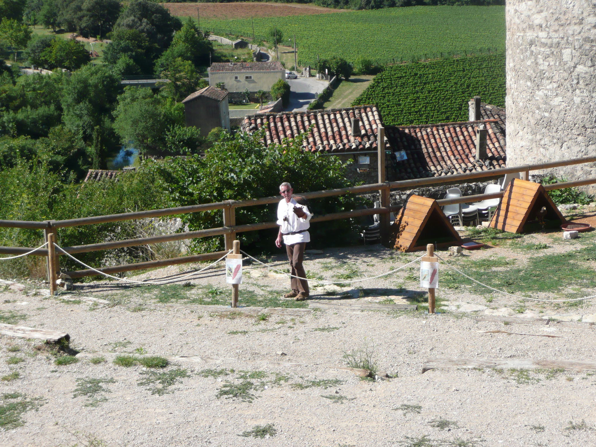 le fauconnier et ses oiseaux au château de Baulx