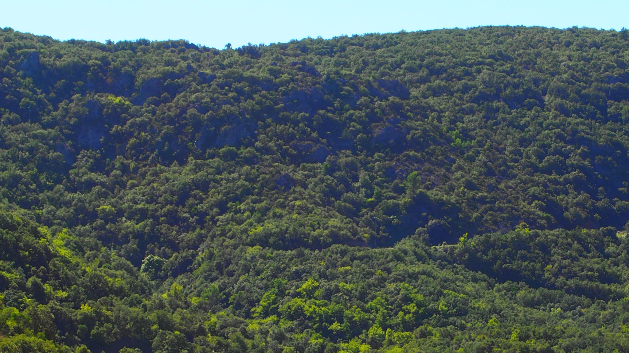 Vue depuis le Château de Baulx sur les collines