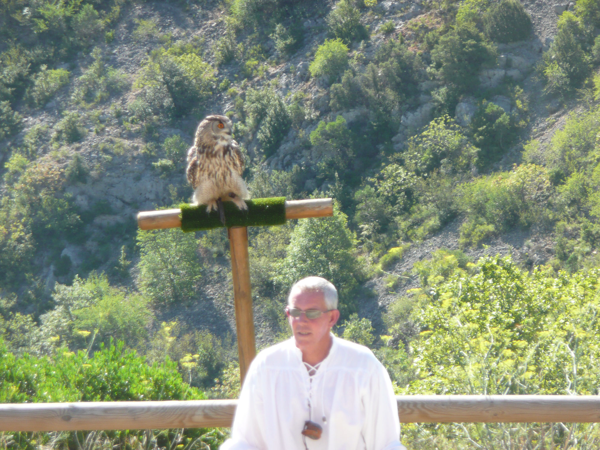 le fauconnier et ses oiseaux au château de Baulx