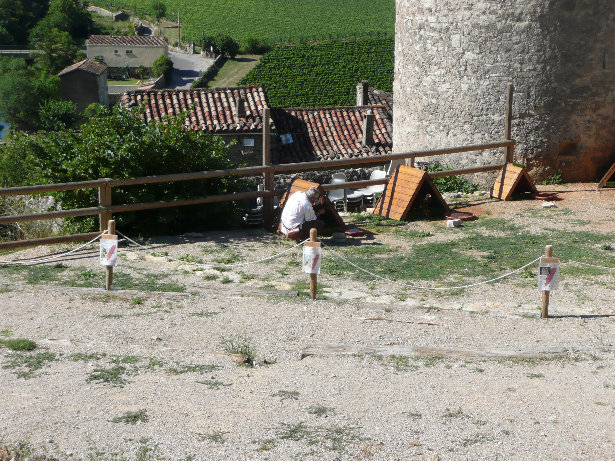 le fauconnier et ses oiseaux au château de Baulx