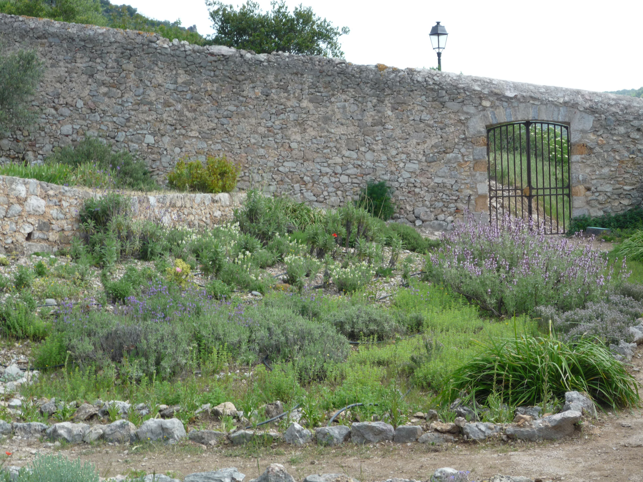 Le jardin des senteurs