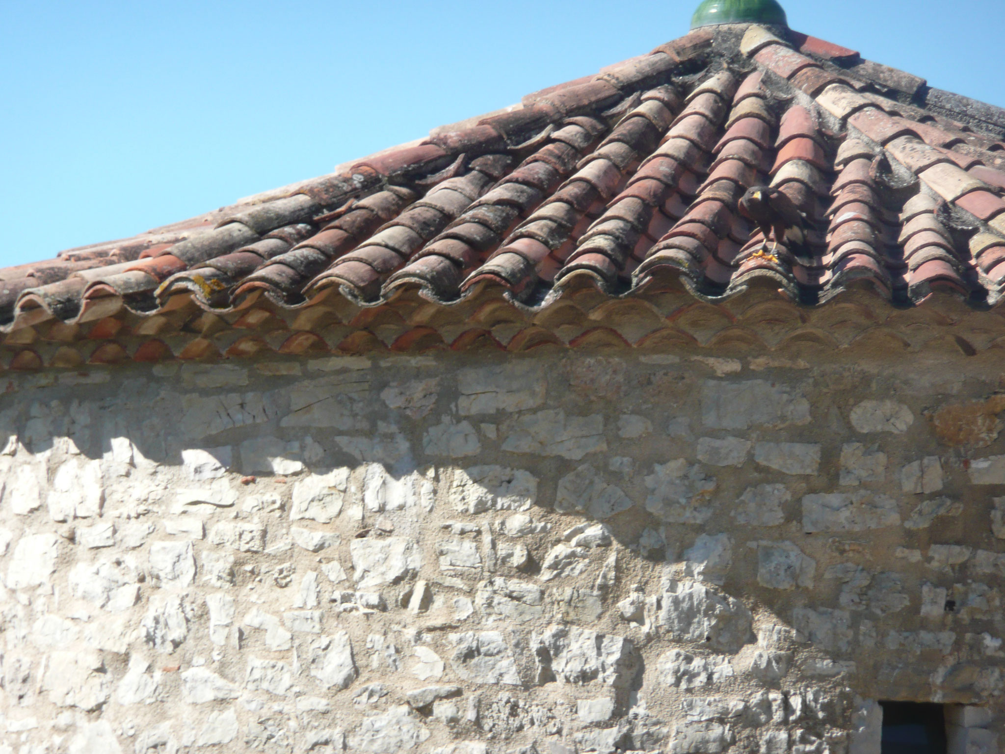 le fauconnier et ses oiseaux au château de Baulx