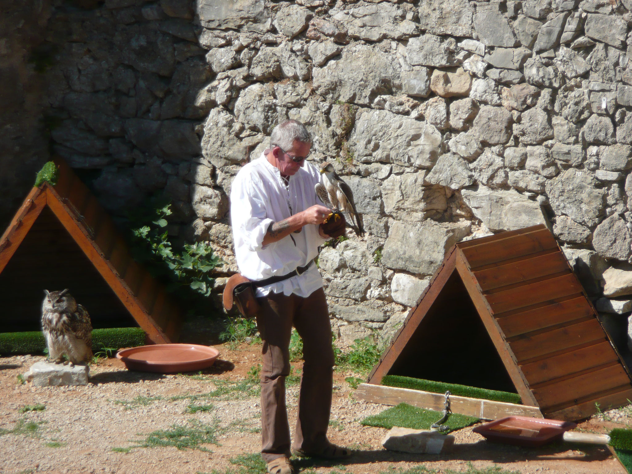 le fauconnier et ses oiseaux au château de Baulx