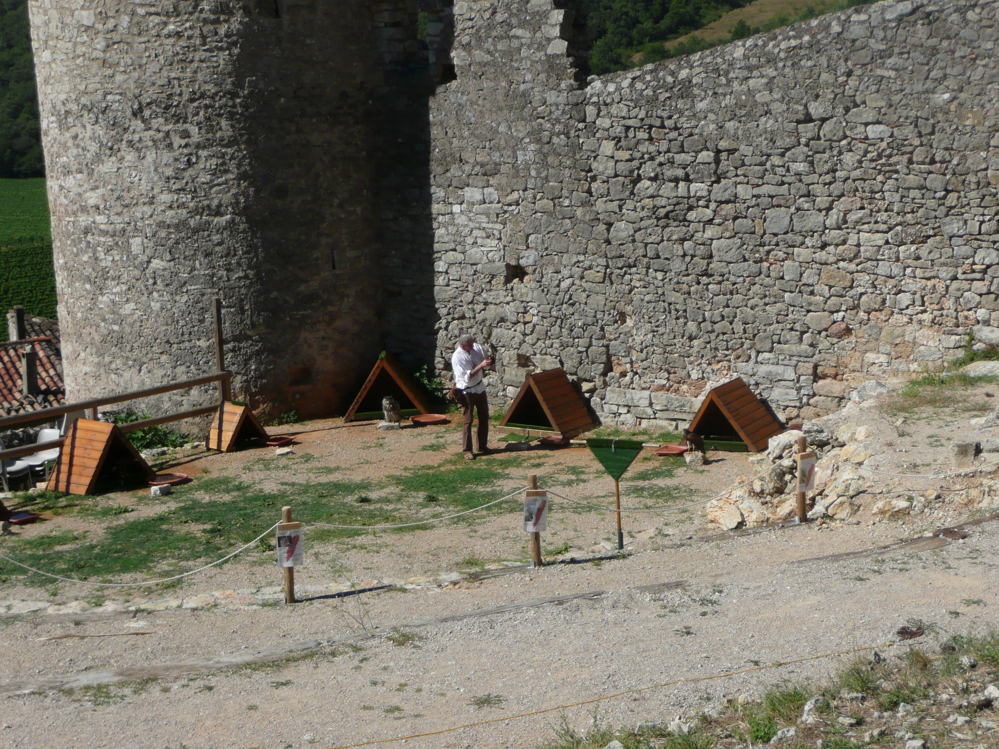 le fauconnier et ses oiseaux au château de Baulx