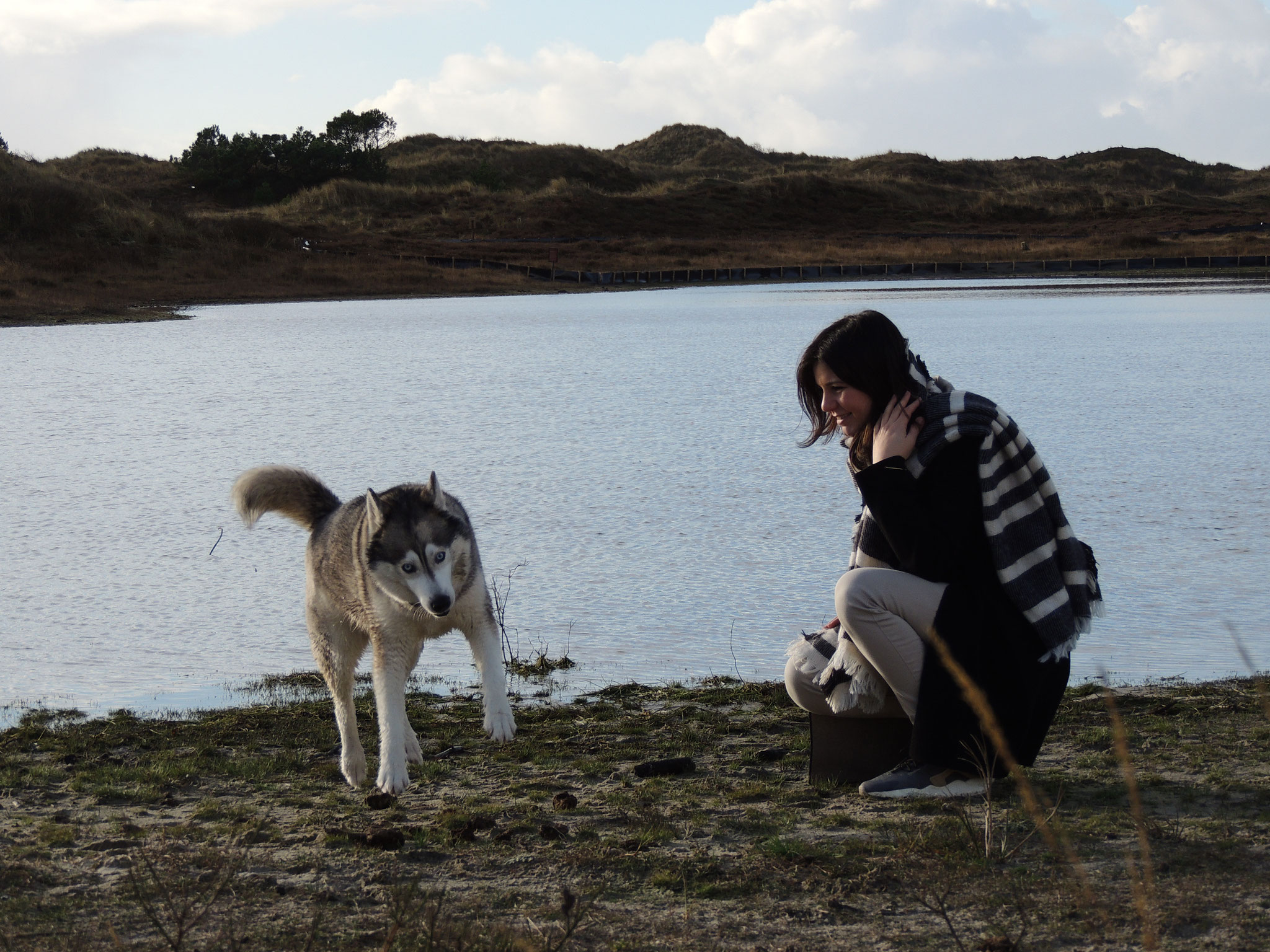 Im Nationalpark, Niederlande