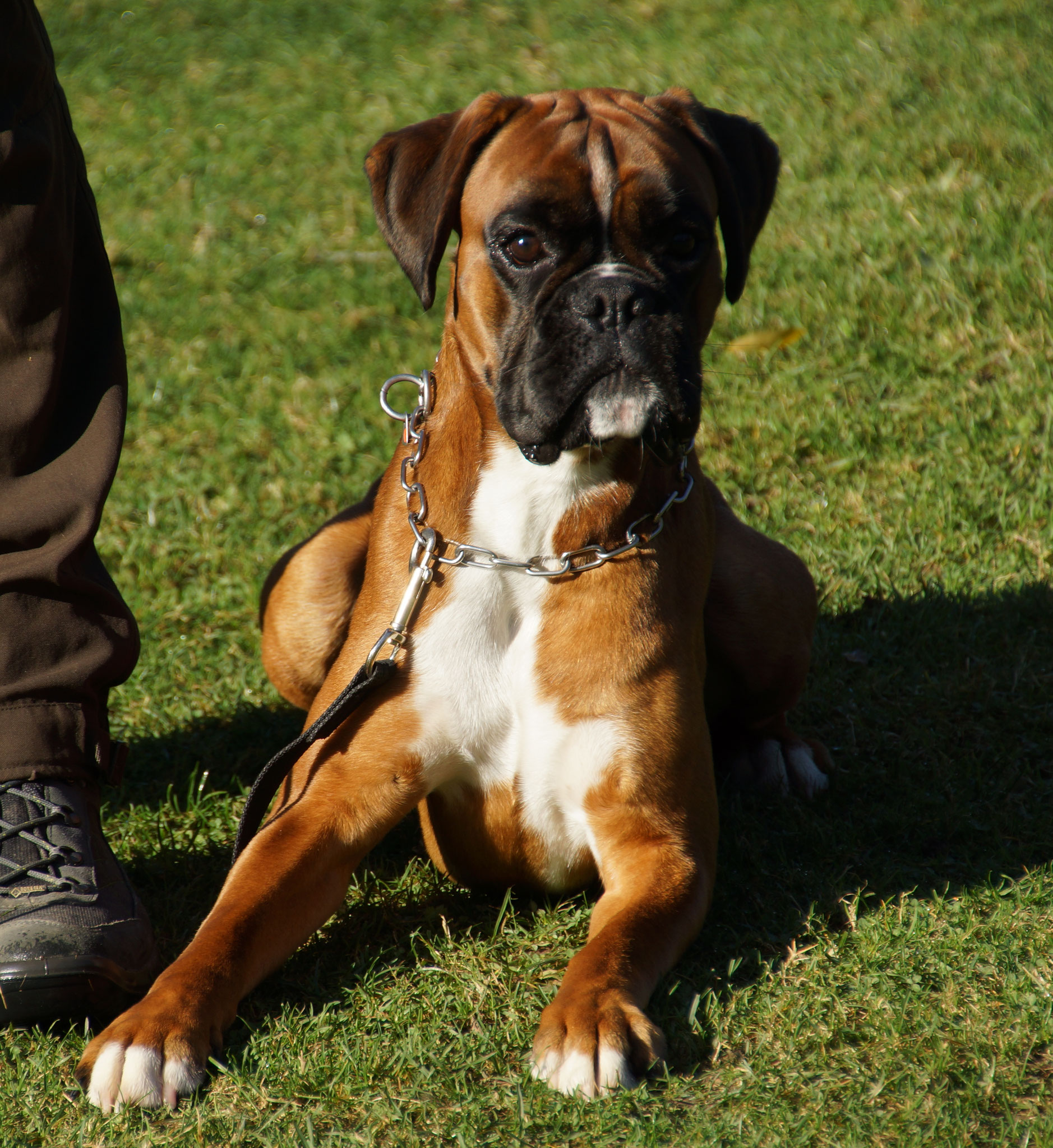 Eggi nach bestandener ZTP 