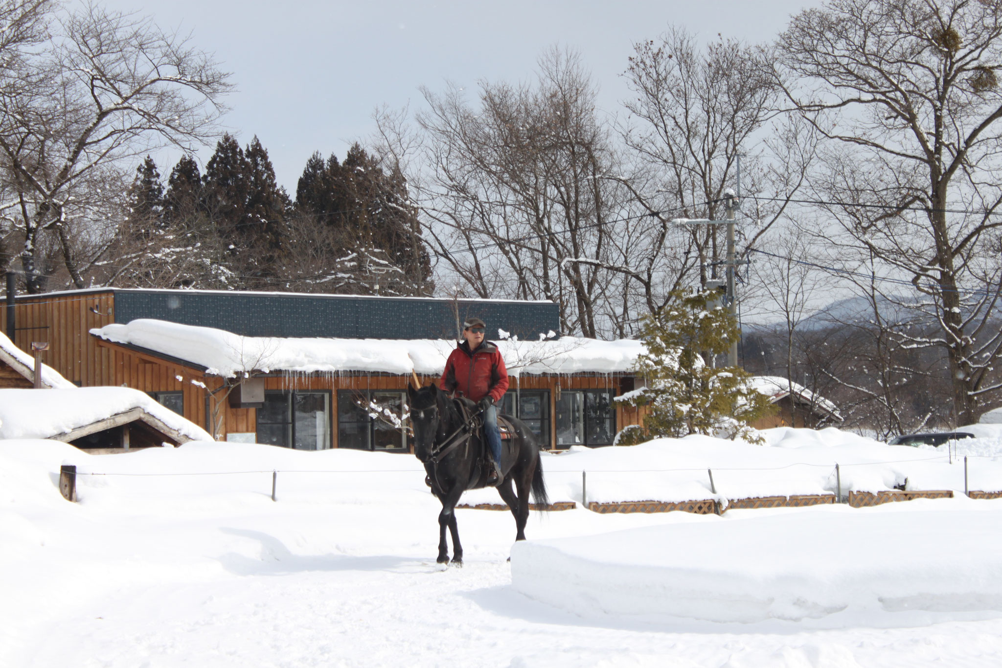 冬：雪が積もった上を乗馬