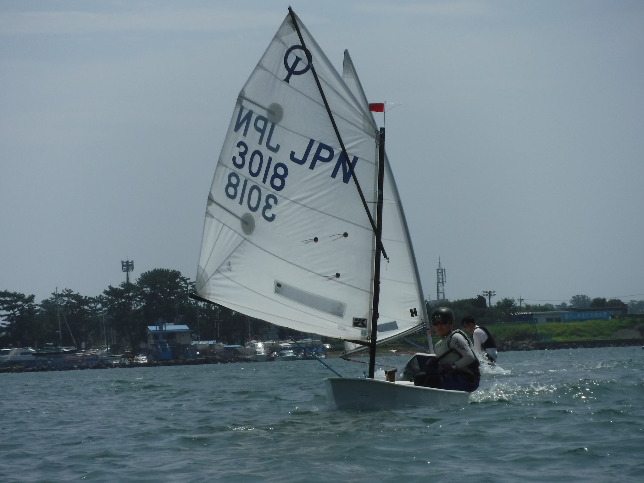 Dinghy - 清水港ヨット協会 Dinghy - 清水港ヨット協会
