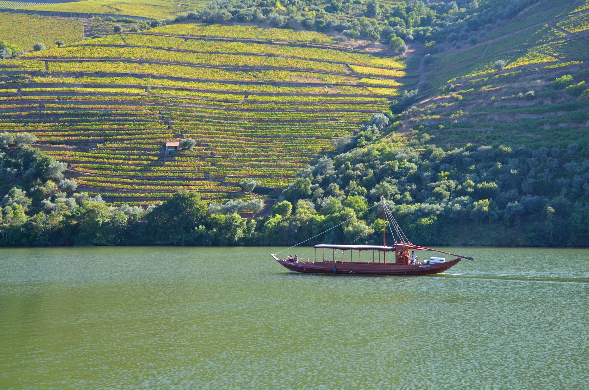 Douro Valley Private Cruise Europe's Best Destinations