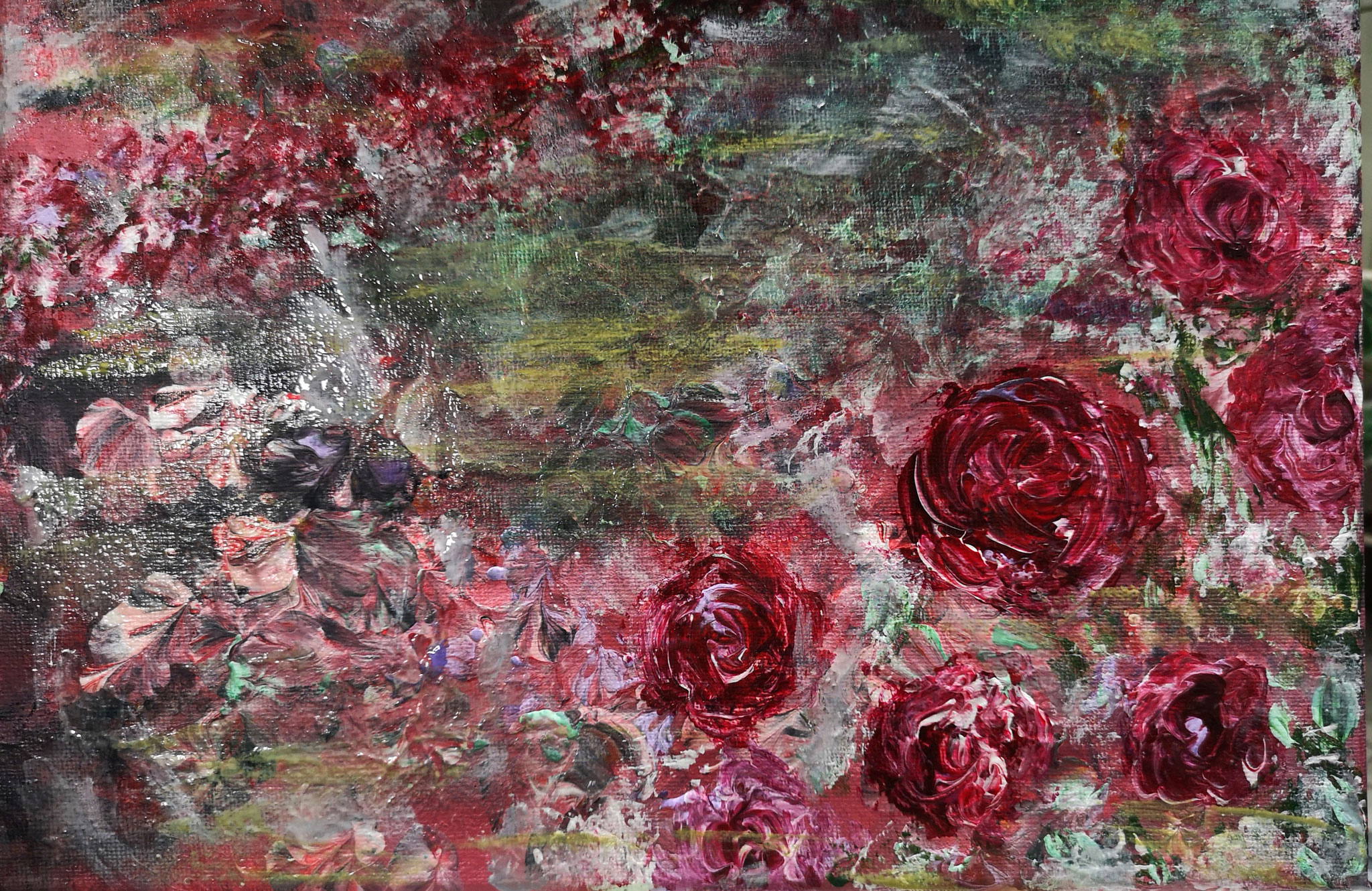 "Wildrosenmeer"