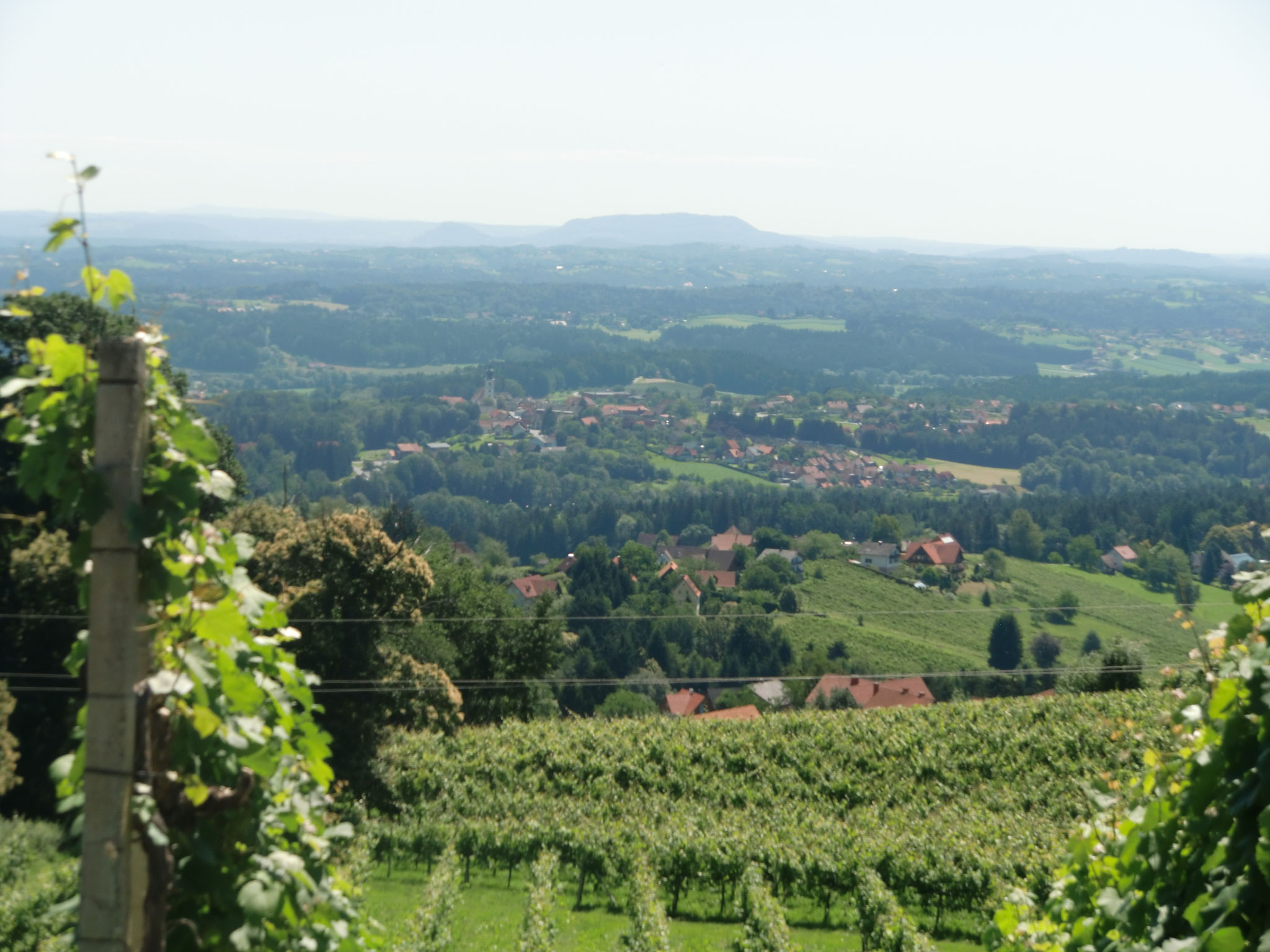 Das hügelige Steirische Weinland - Motorradtouren von Heinrich Wolf