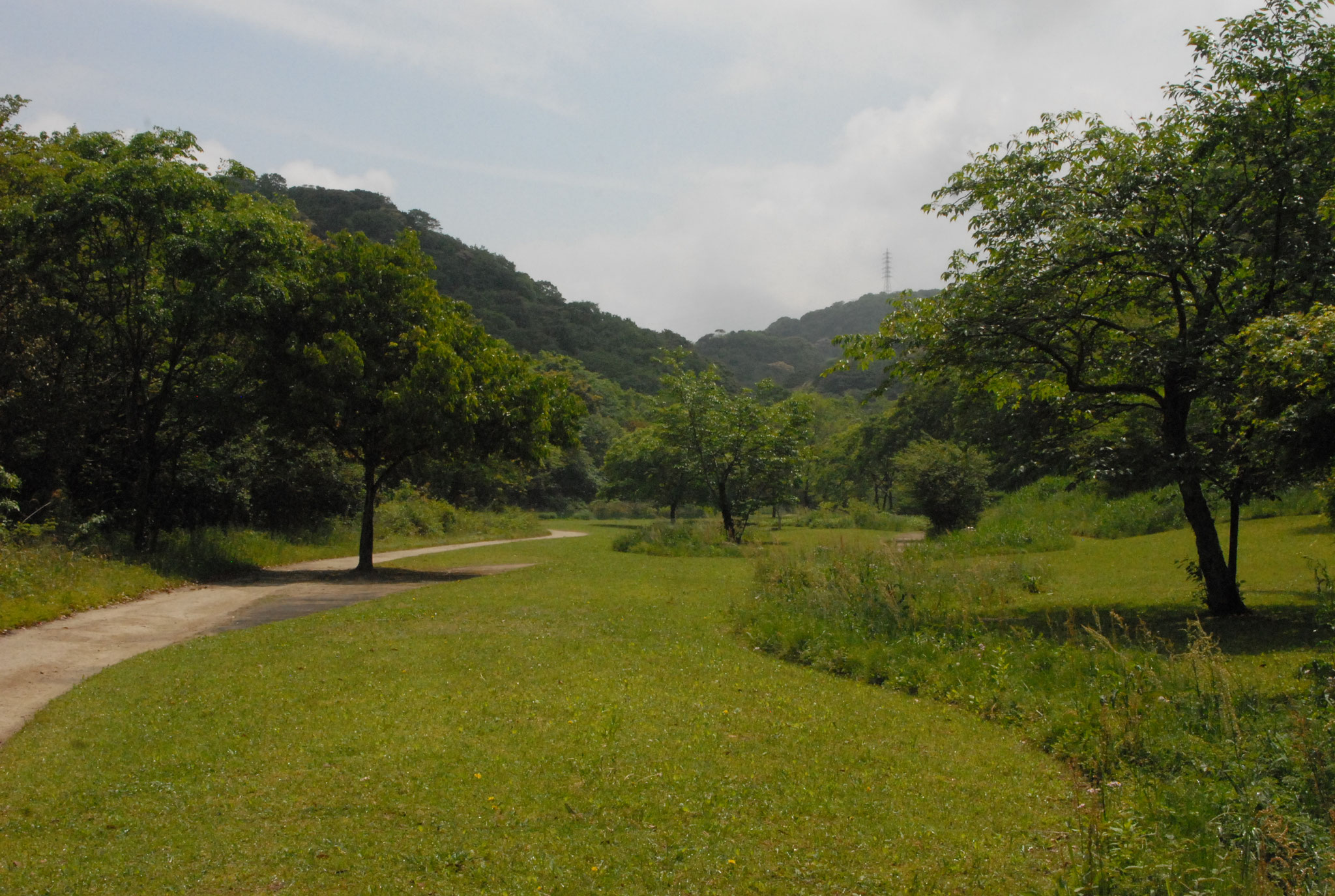 野草広場