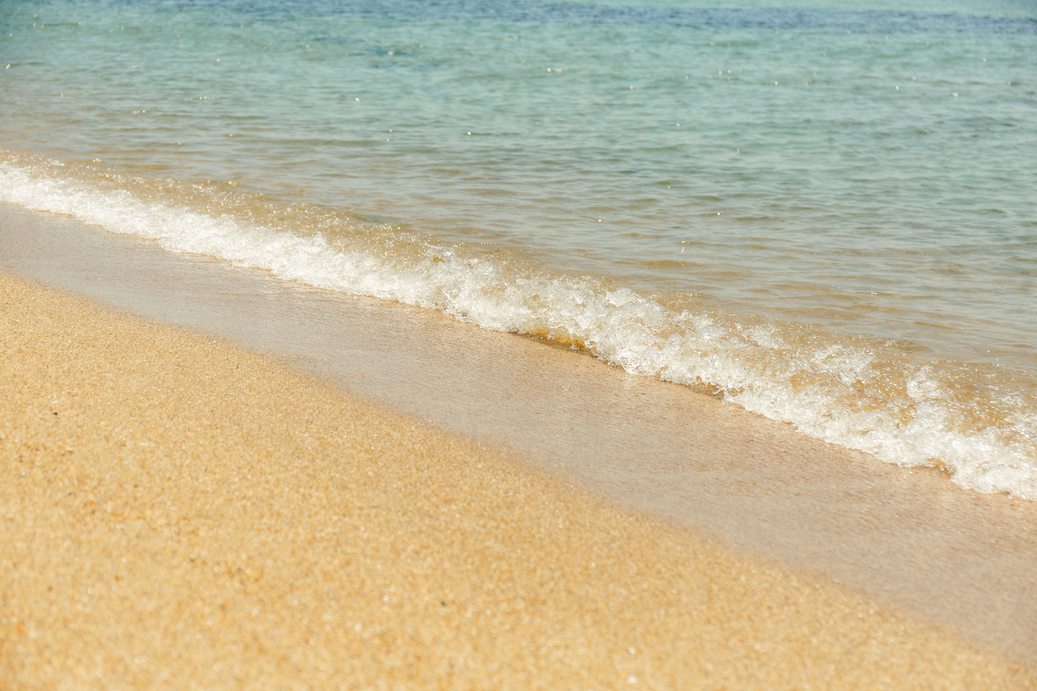 BEACH - 泊まれる海の公園 直島・つつじ荘 BEACH - 泊まれる海の公園 直島・つつじ荘