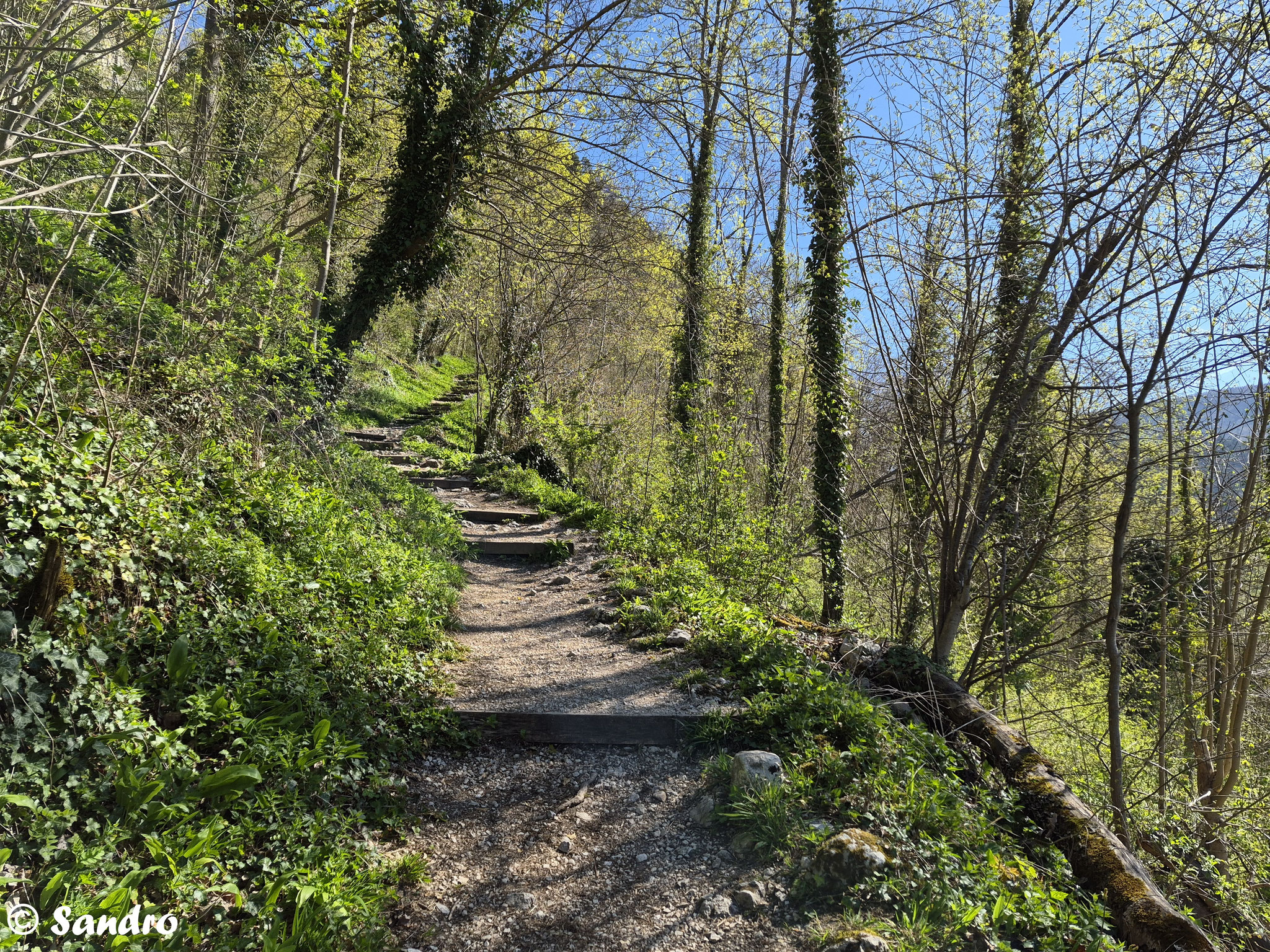 Sentier montant vers le château.
