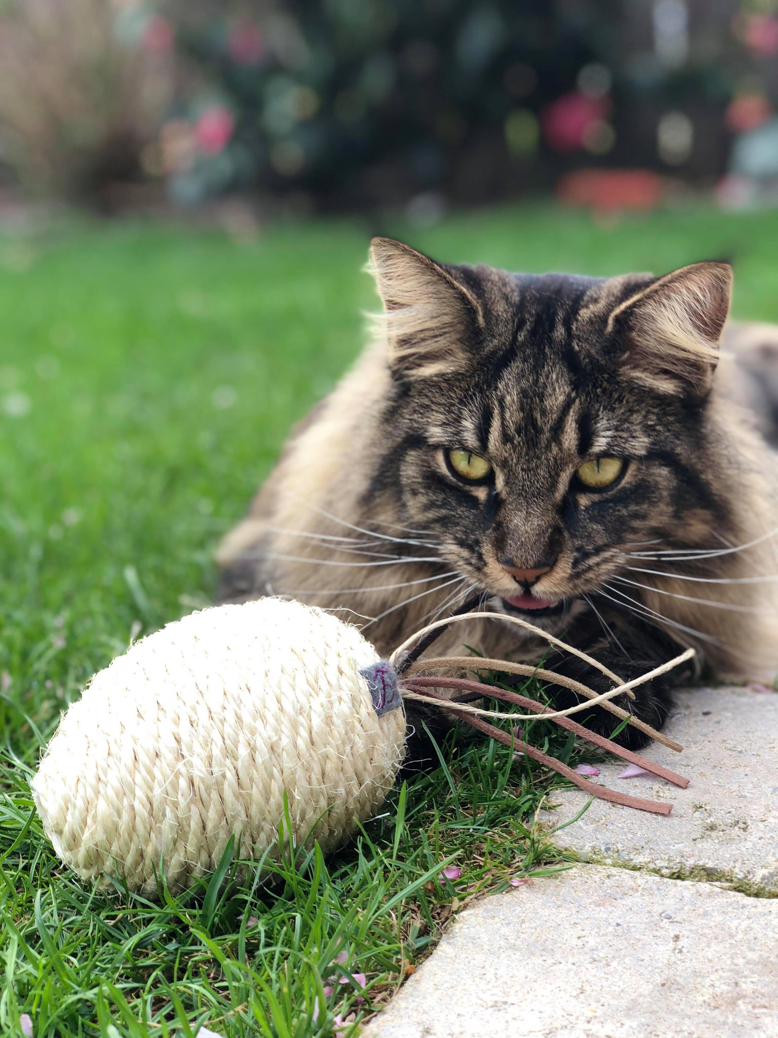 Daie XXL Ledermaus - Wunderschön in Szene gesetzt!