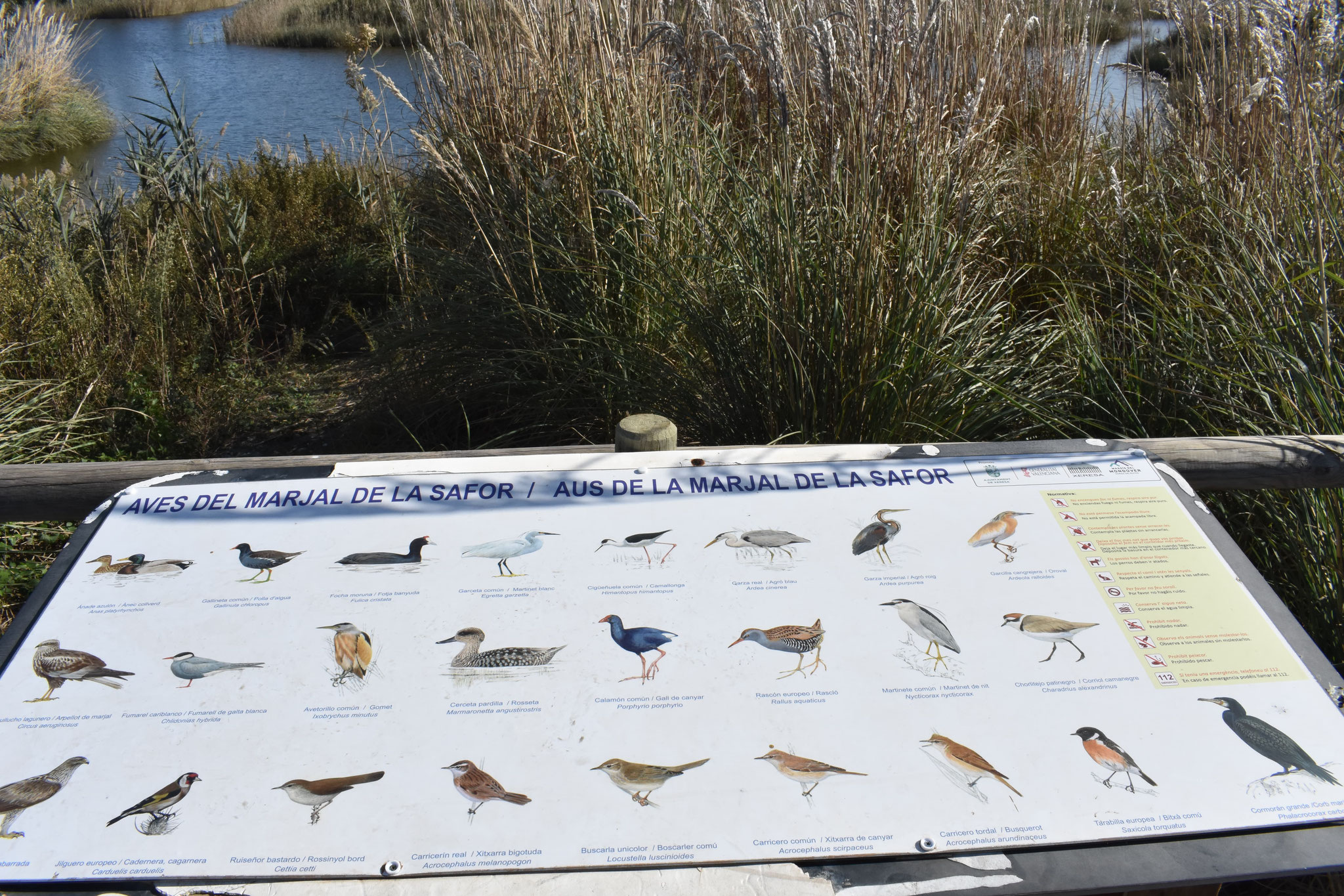 Panel con la información de las aves que abitan la marjal