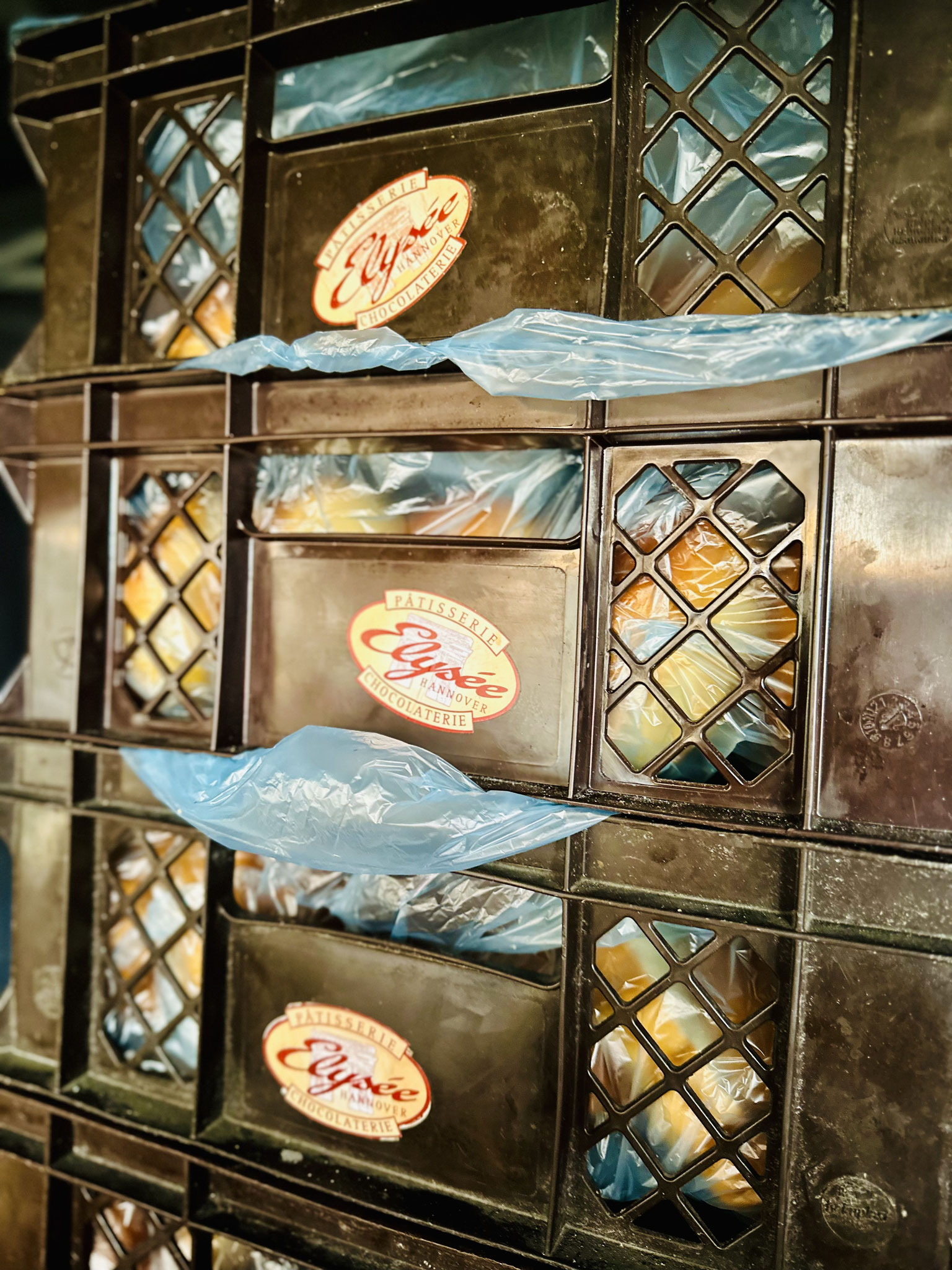 Die geilen Buns von Elysee