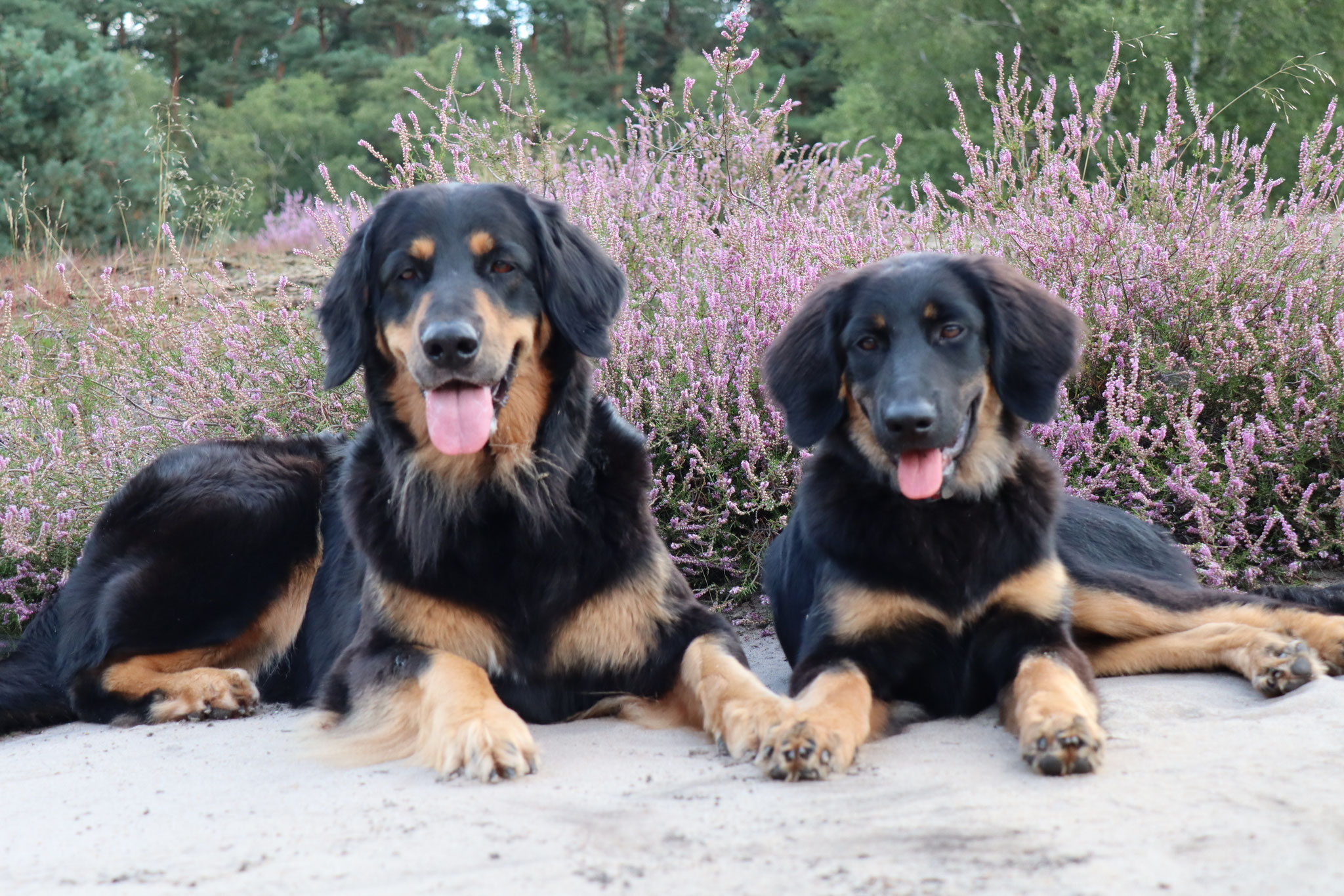 Whoopy und Lotti