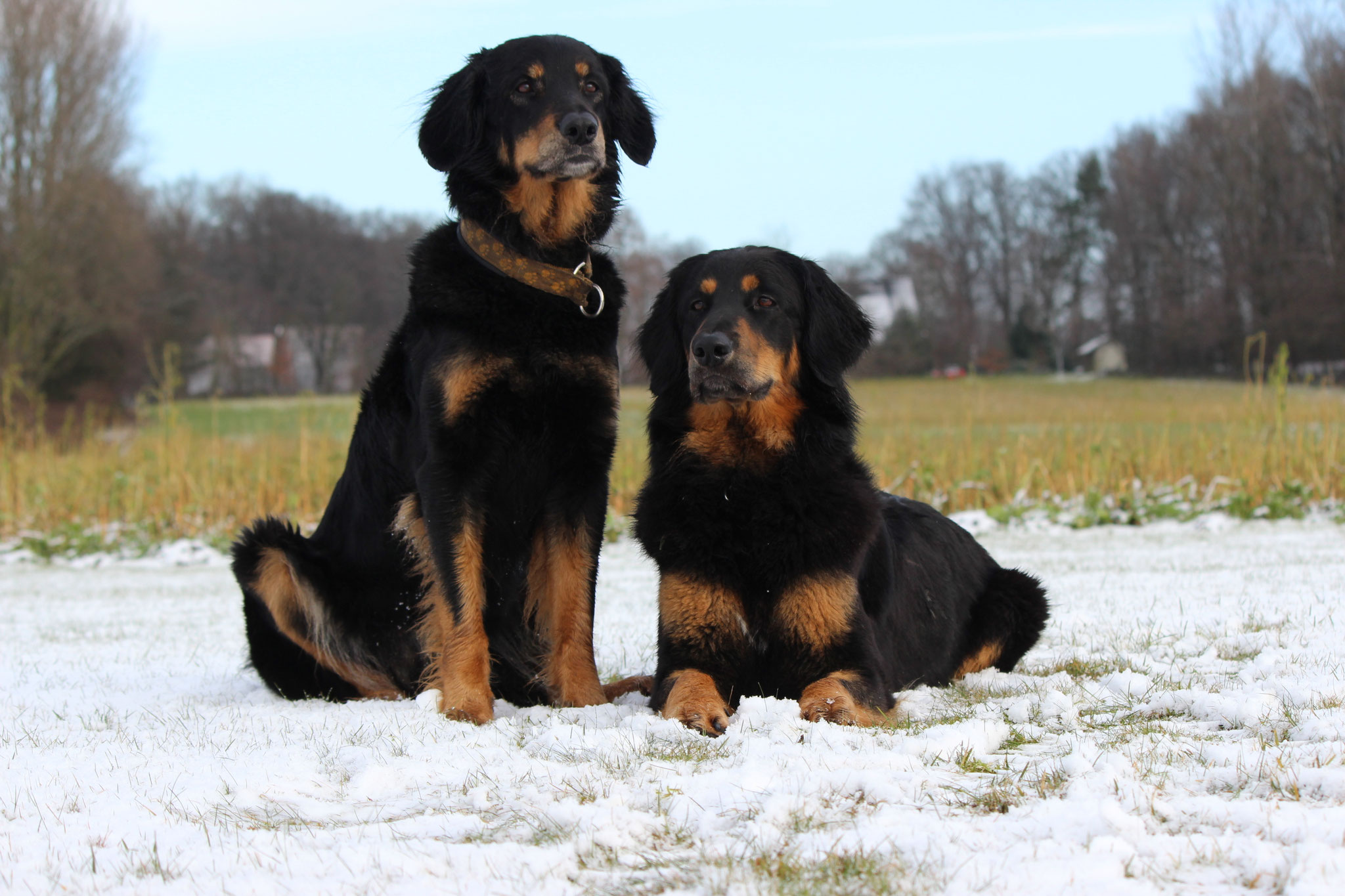 Jacy und Whoopy
