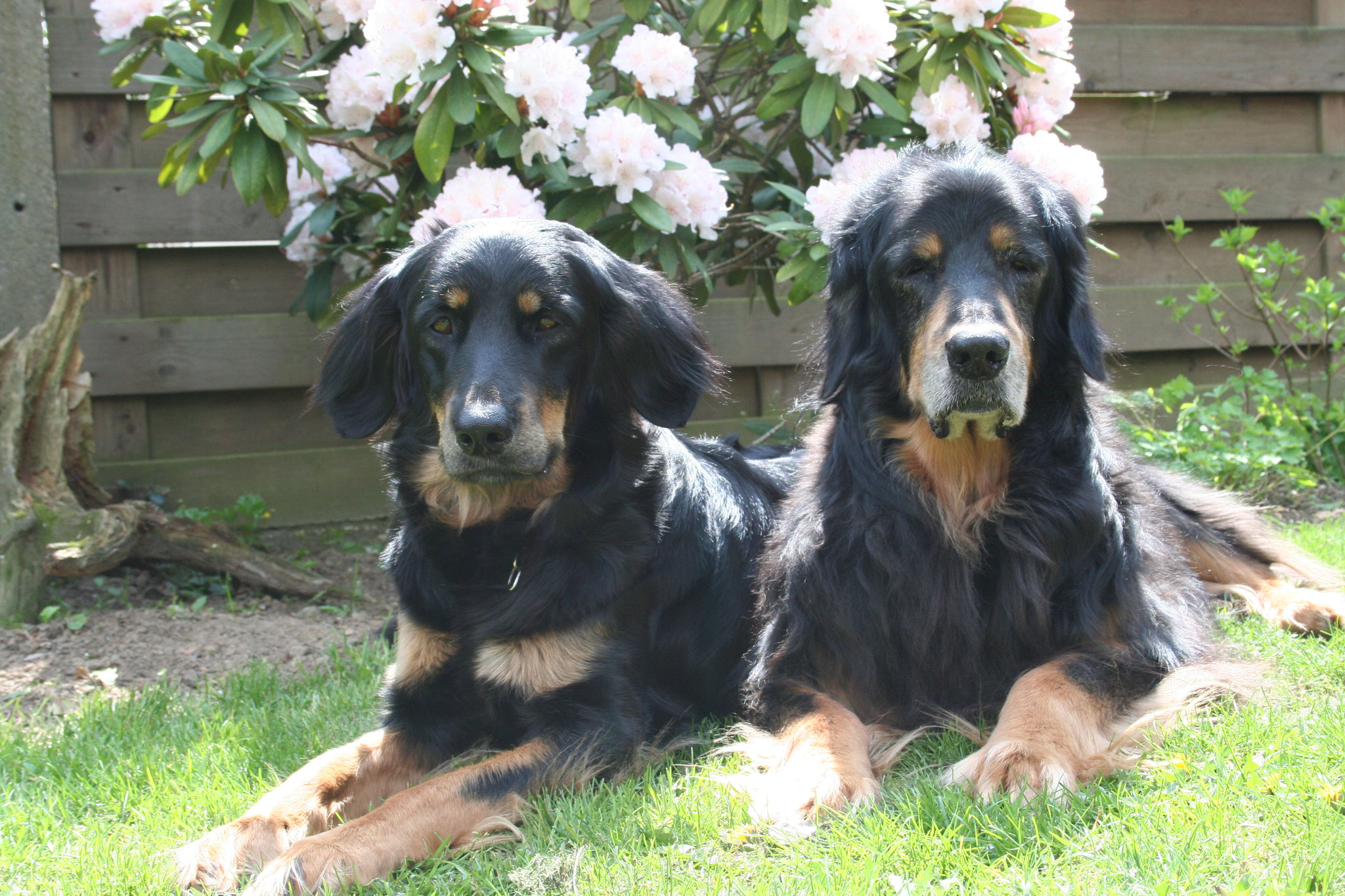 Jacy und Ronja