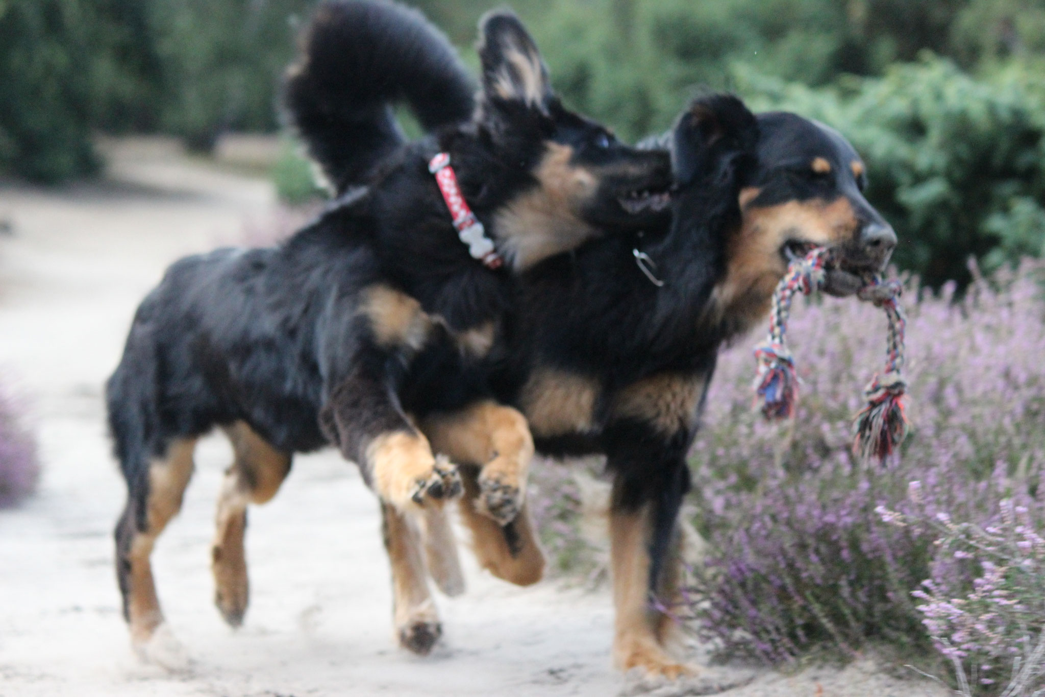 Lotti und Whoopy