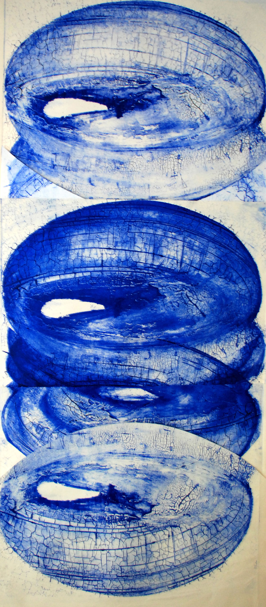 CARME PORTA SALVIA