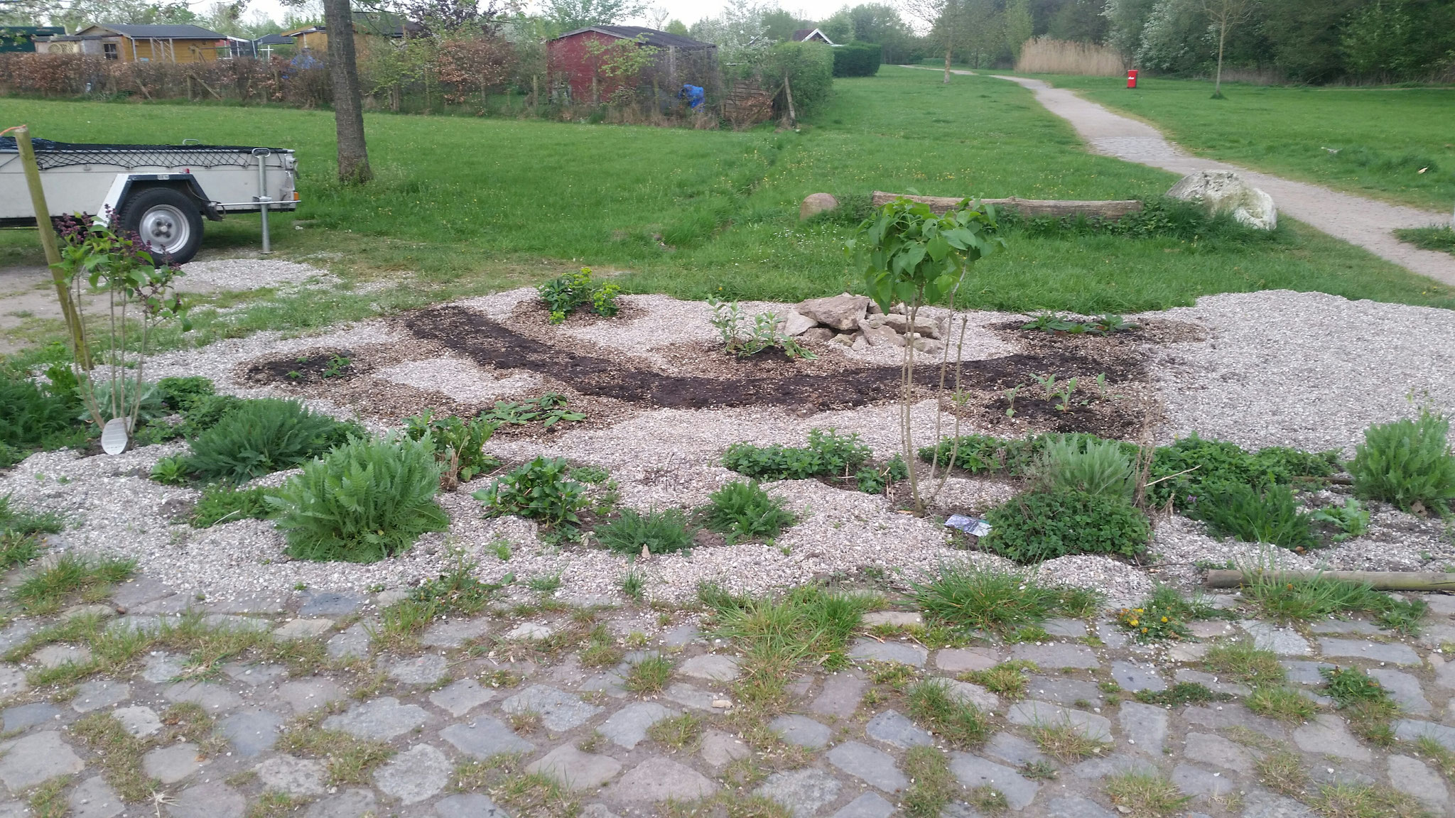 ...in dem Streifen wurde die Syringa-Mischung 6a gesät. Vielen Dank an alle Helfer :)