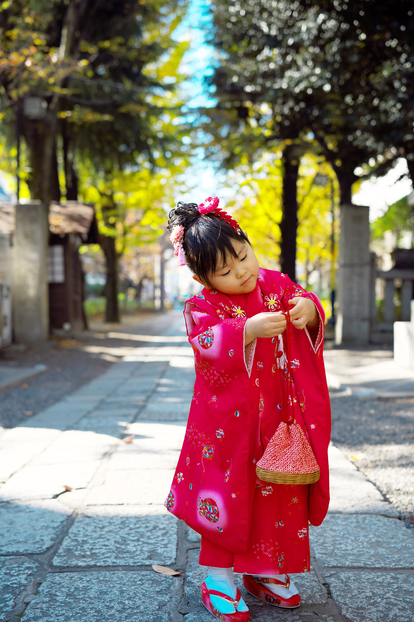 七五三 出張撮影 神社 亀戸 香取神社
