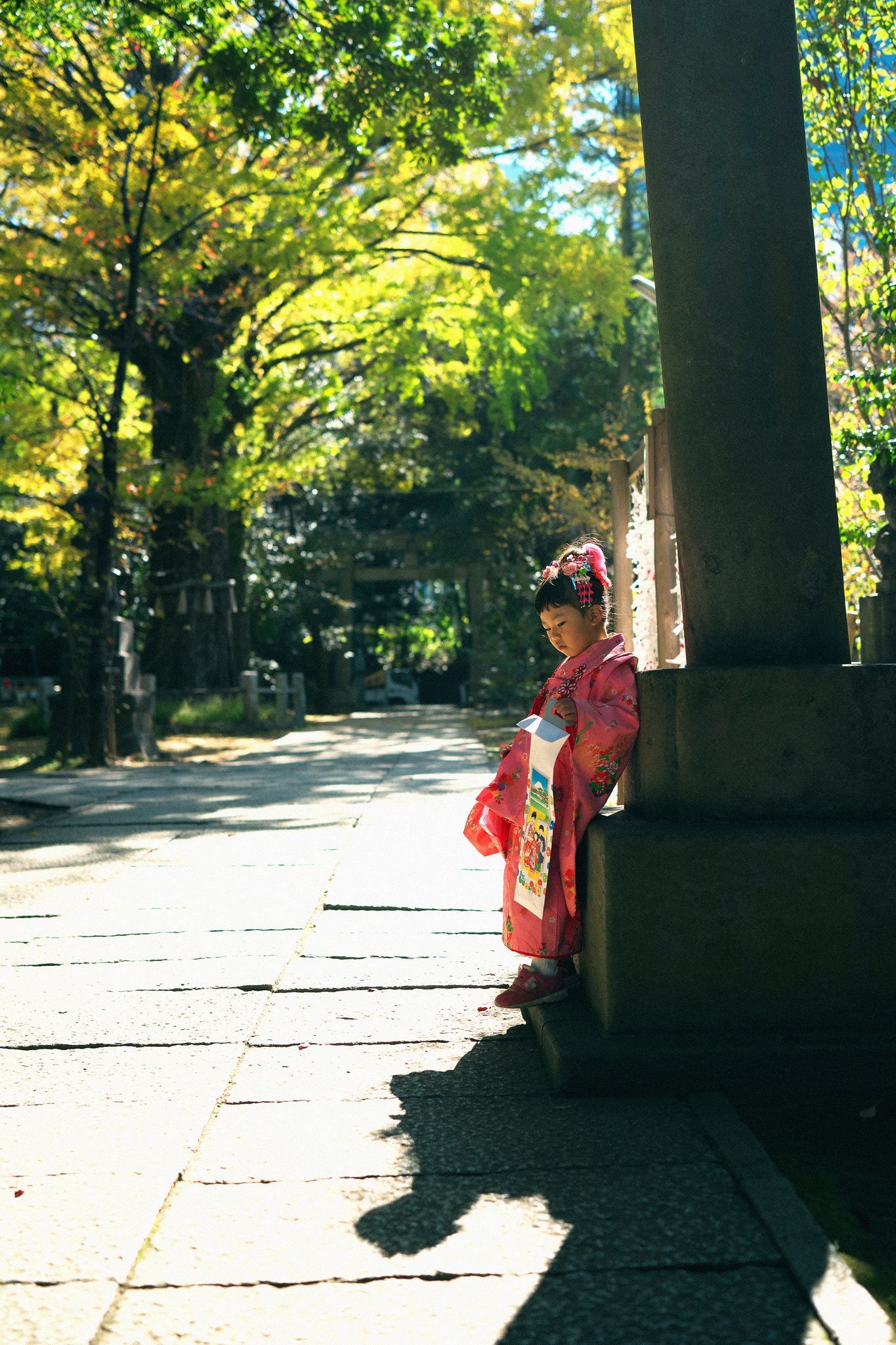 七五三 出張撮影 神社 赤坂氷川神社
