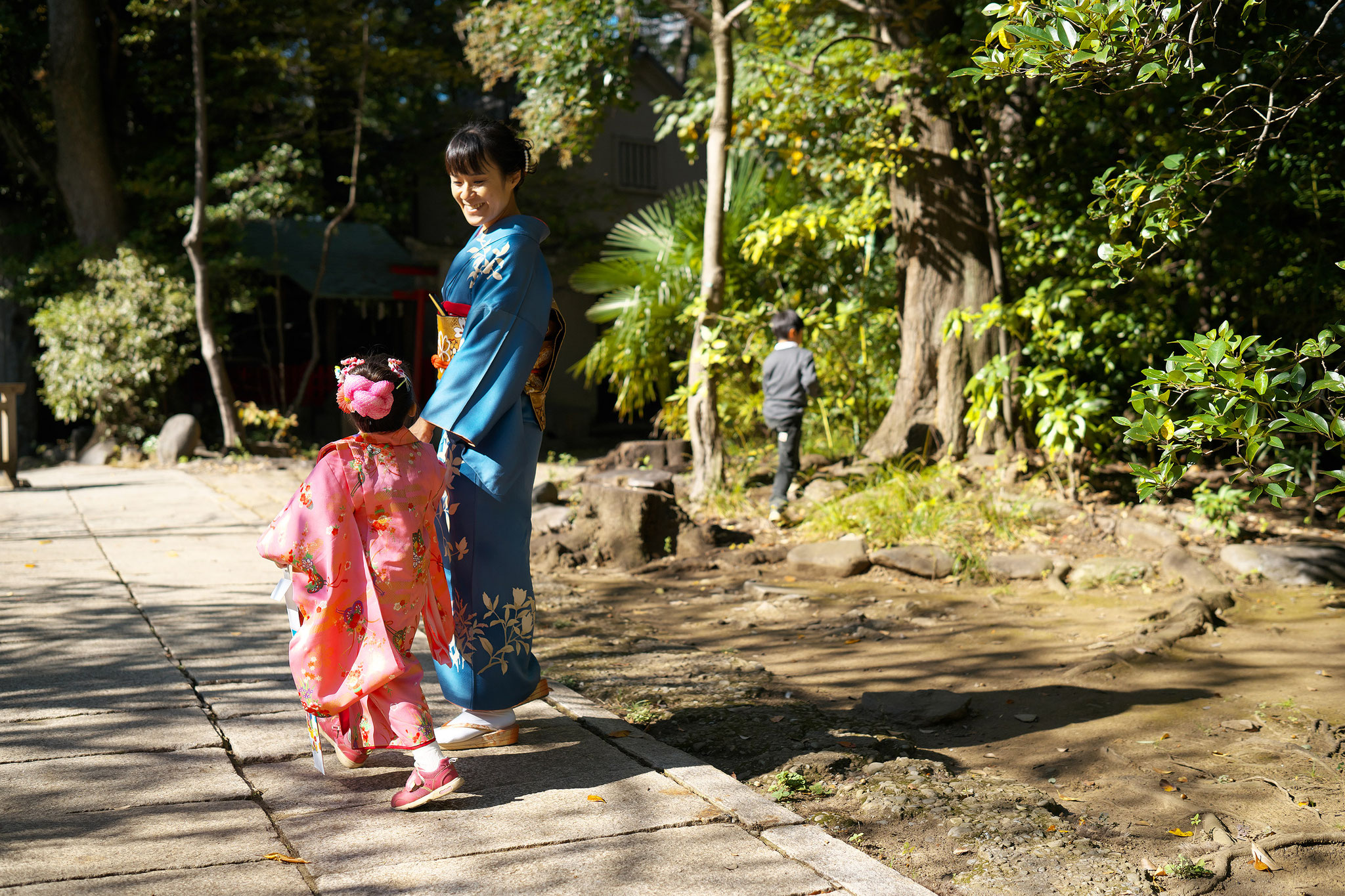 七五三 出張撮影 神社 赤坂氷川神社