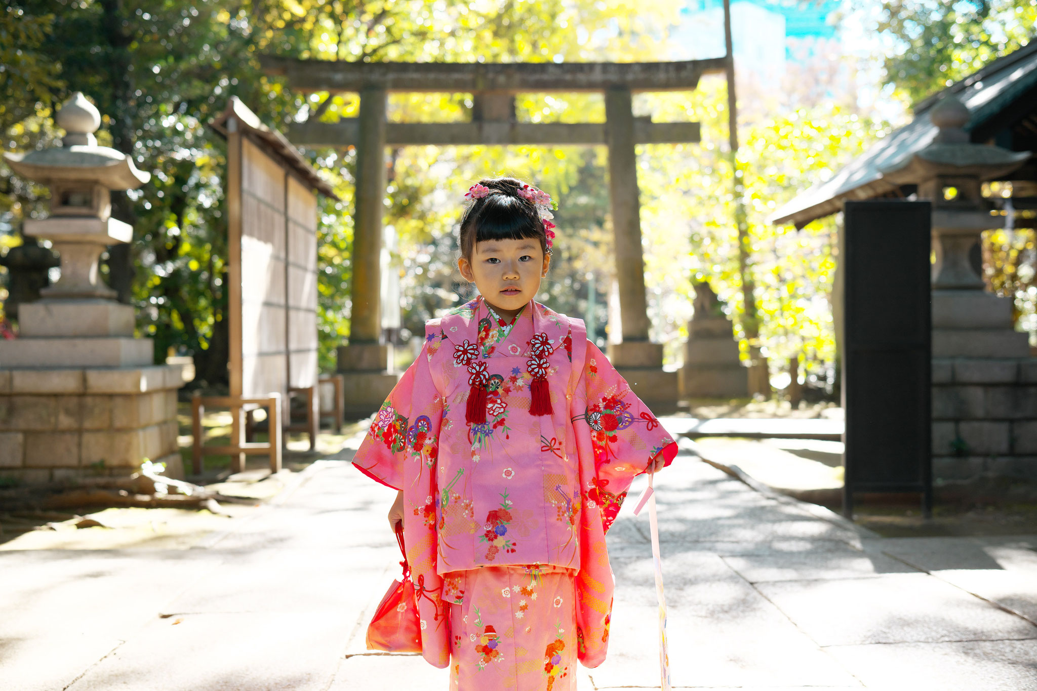 七五三 出張撮影 神社 赤坂氷川神社