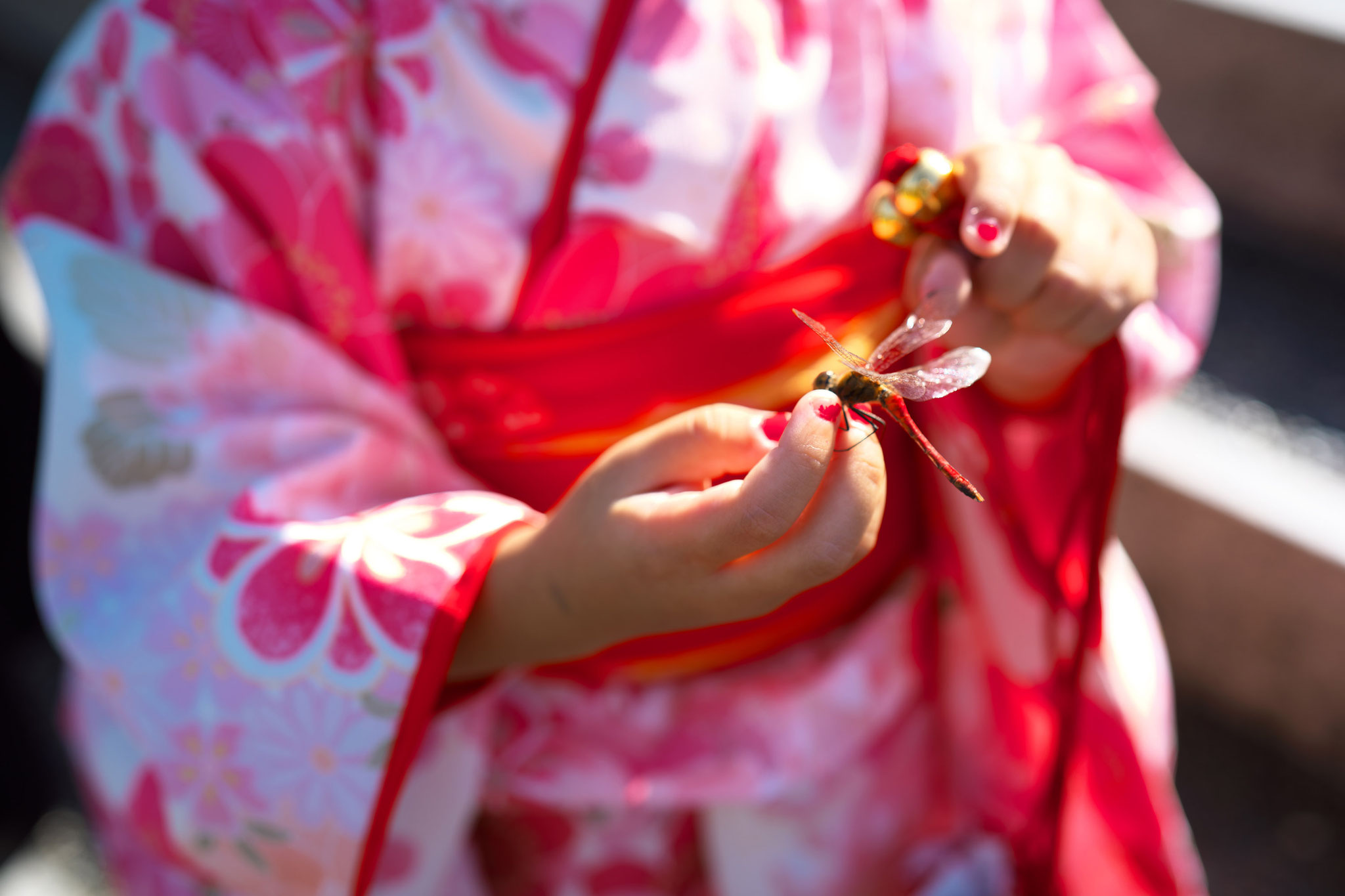 七五三 出張撮影 神社 亀戸天神