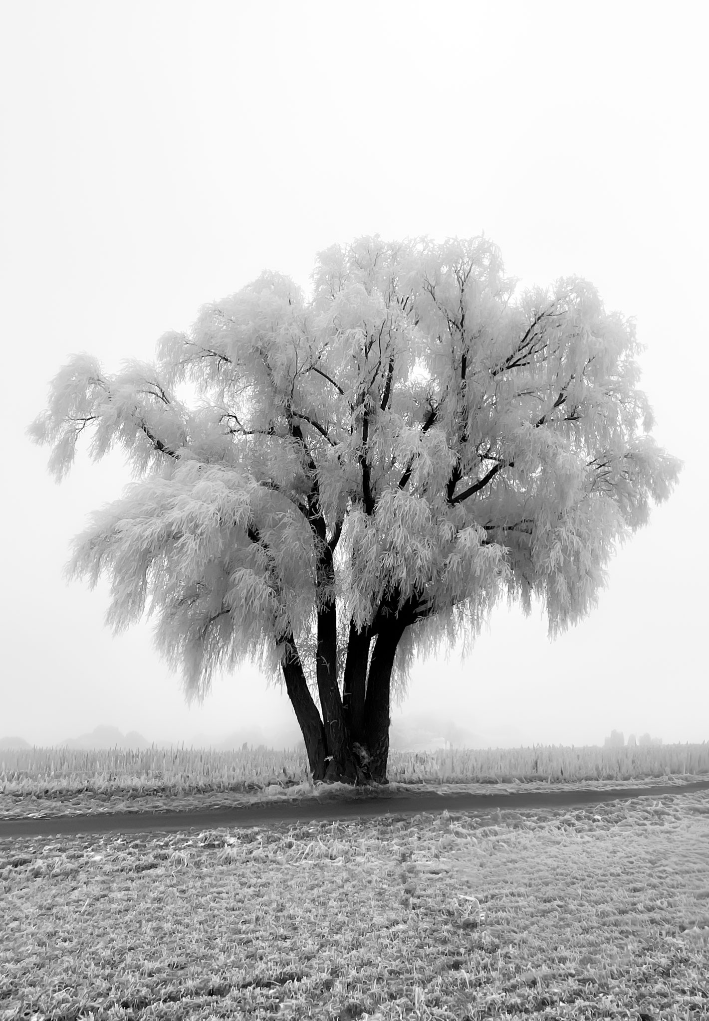 Januar © 2026 | C. Schweiger