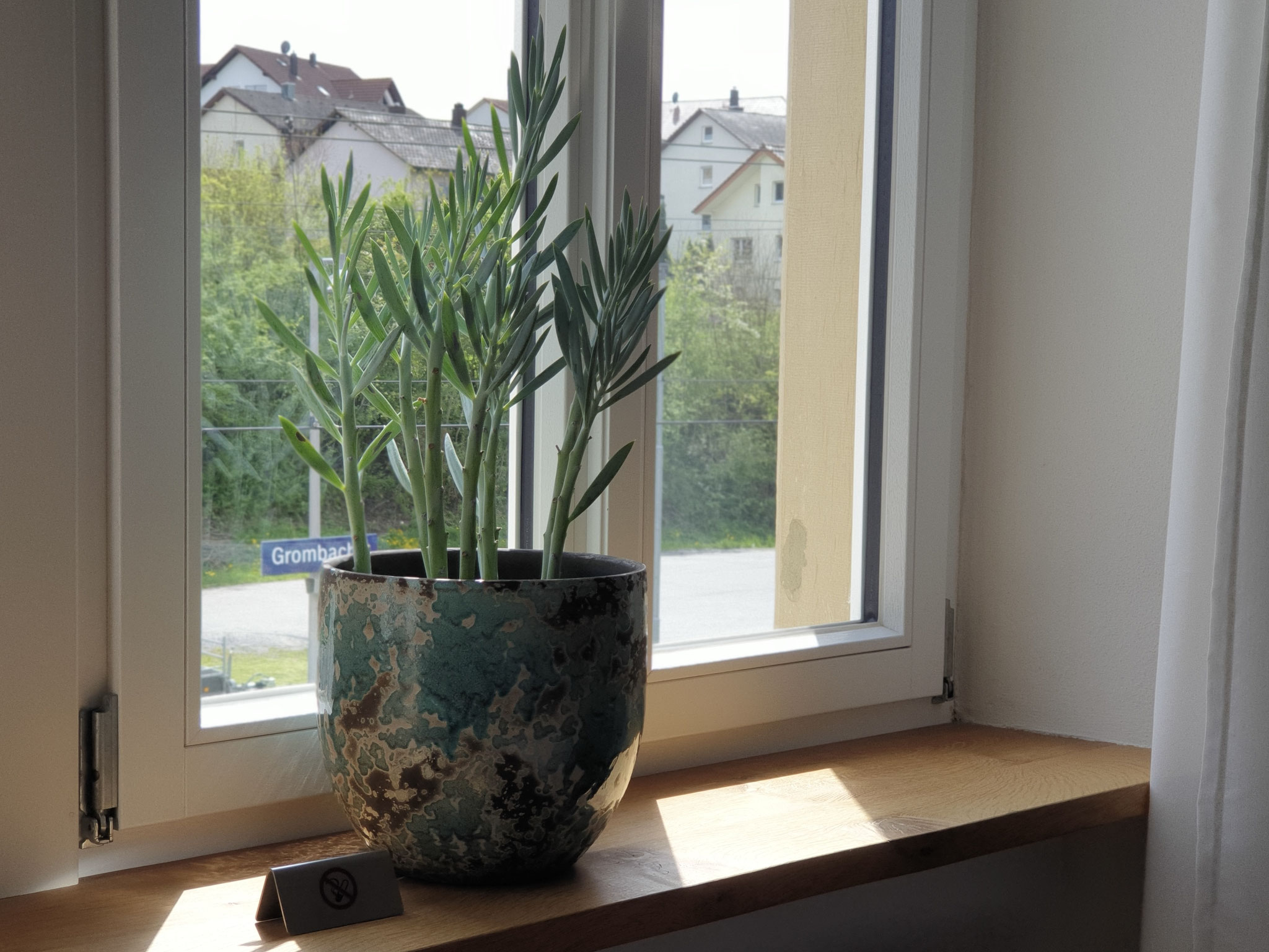 3-er Zimmer links, Ausblick