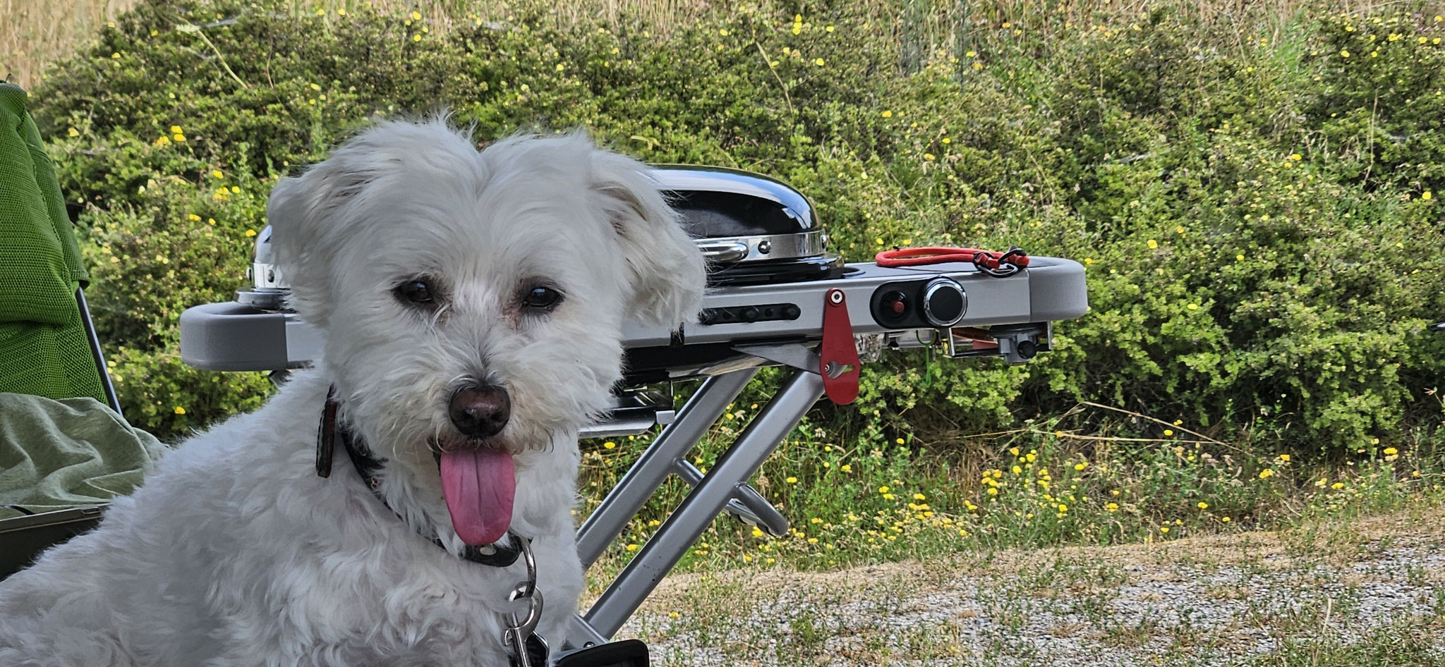 Hinter mir! Der Grill steht schon *freu*...