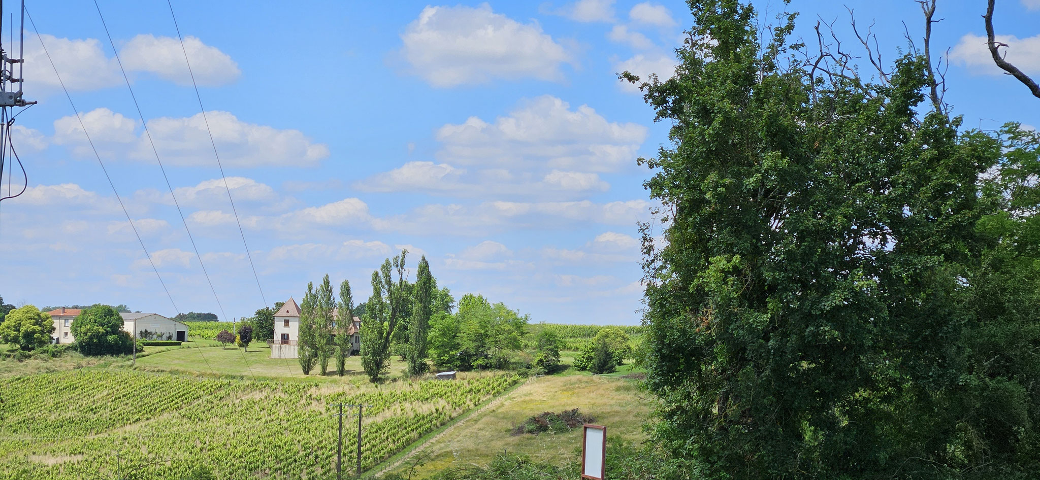 Die Weinberge als Nachbarn