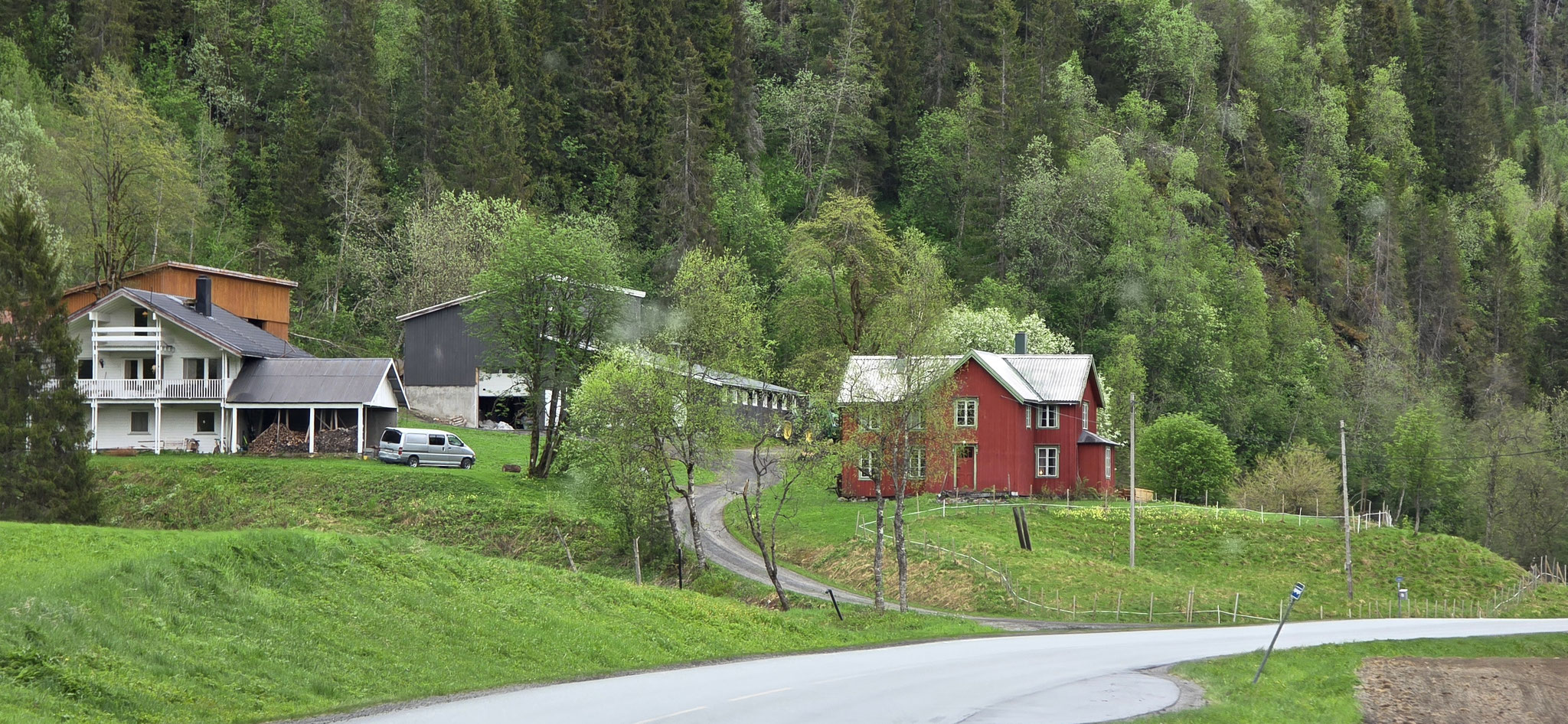 Auch bei Regen ist Norwegen bunt