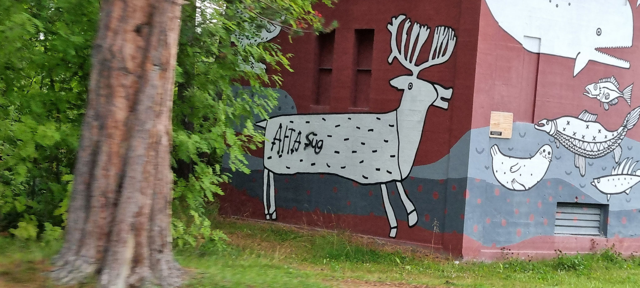 Strassenkunst in Alta