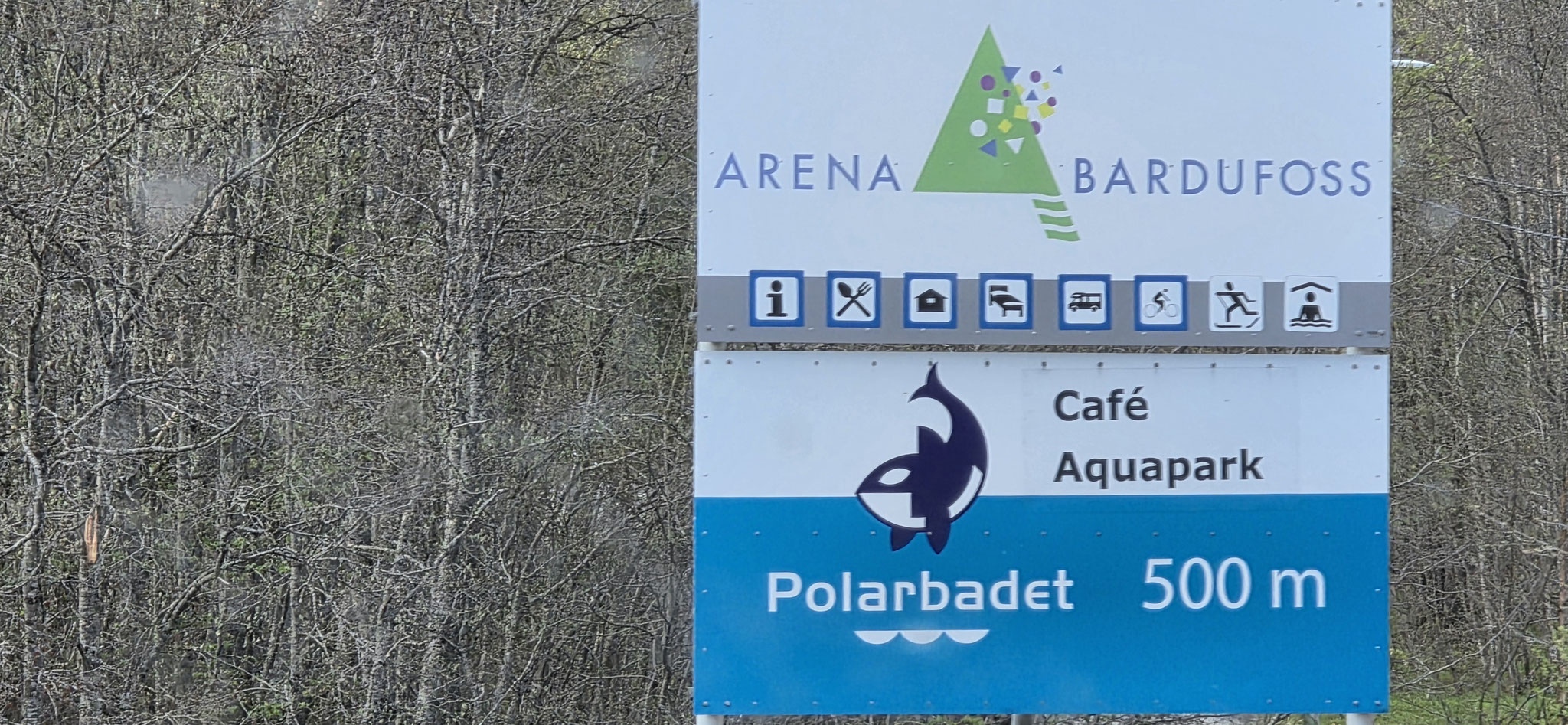 Orca's haben wir leider keine gefunden