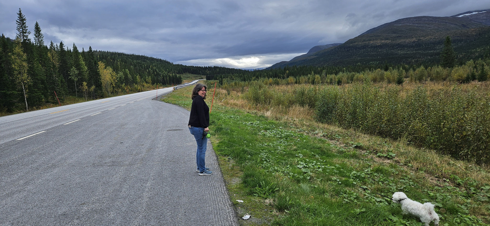 Die neue E6 hat echt viel zu bieten...