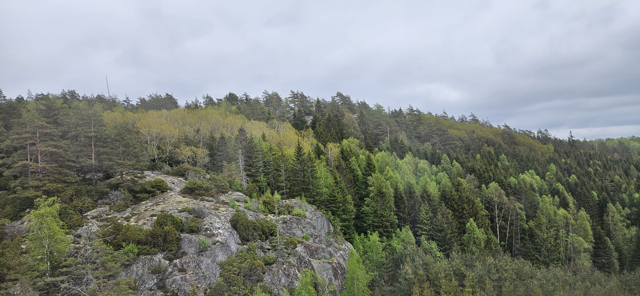 Die Landschaft wird immer "karger" (unser Dauerspruch)