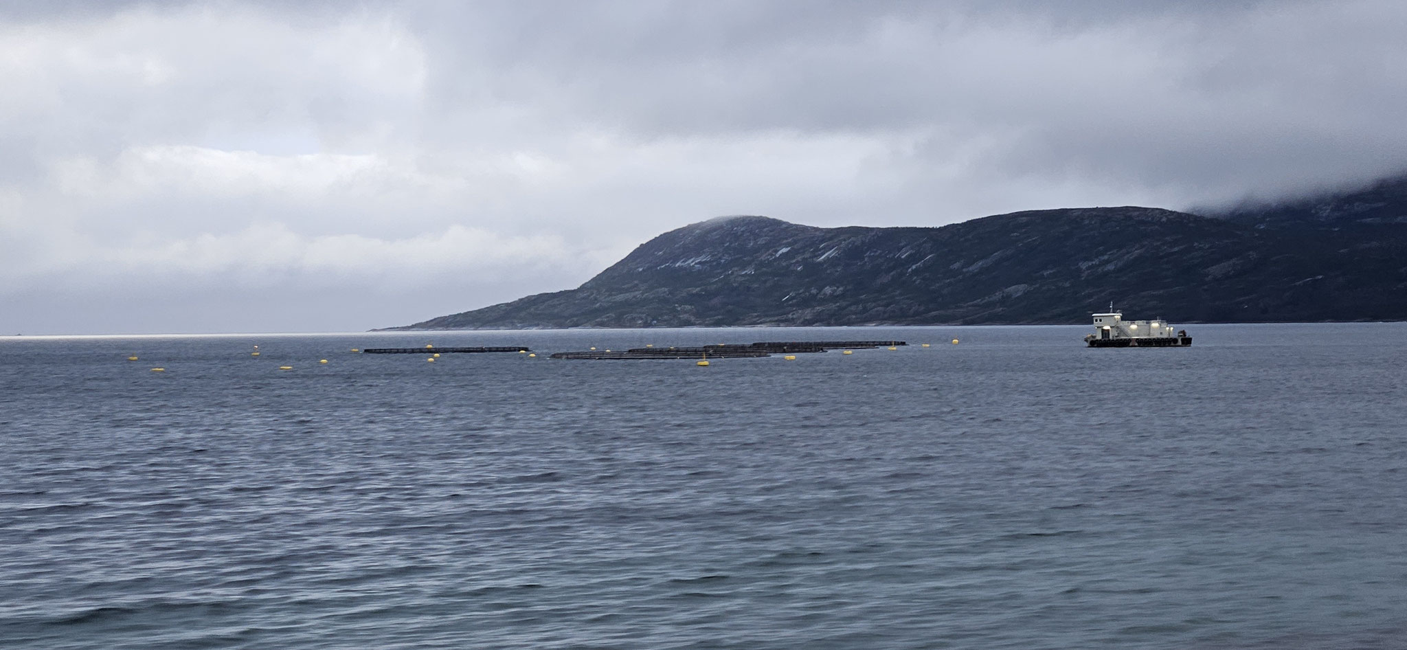 Fischzucht im Fjord