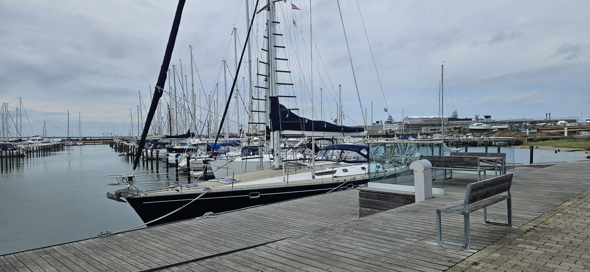 Einige bleiben wohl im Winter auch im Wasser