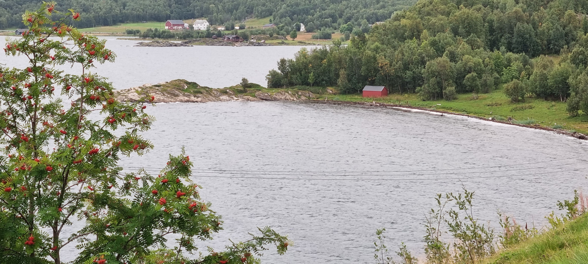 Jedes Fjord...
