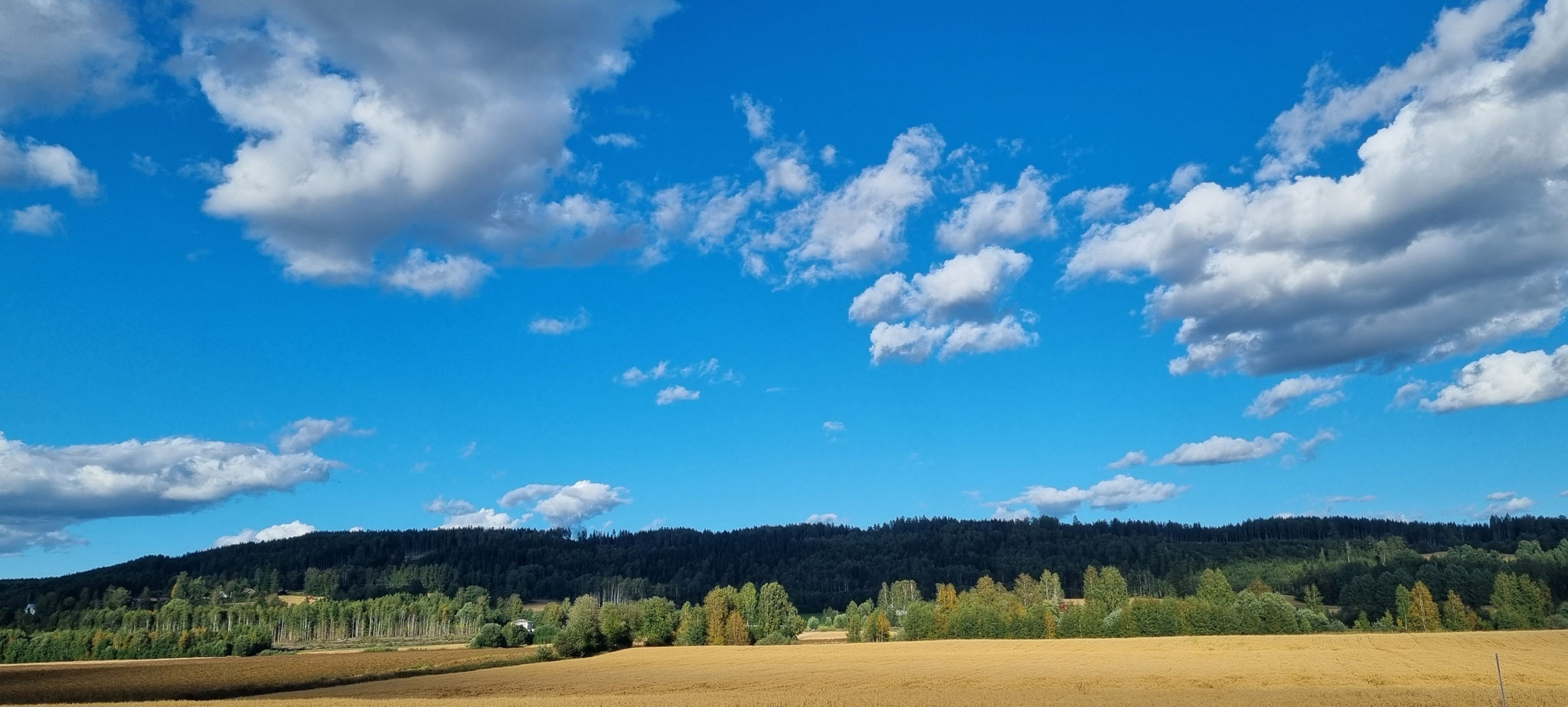 Was für Farben hier im Süden von Norwegen